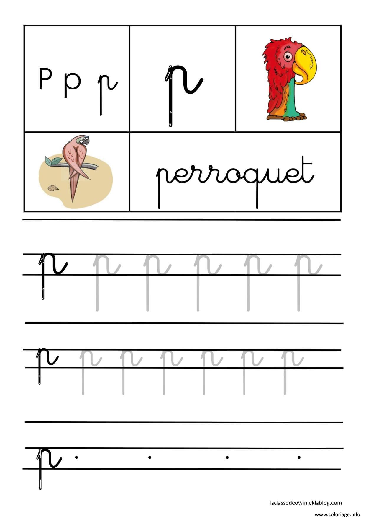 Dessin lettre P pour Perroquet ecriture cursive gs Coloriage Gratuit à Imprimer