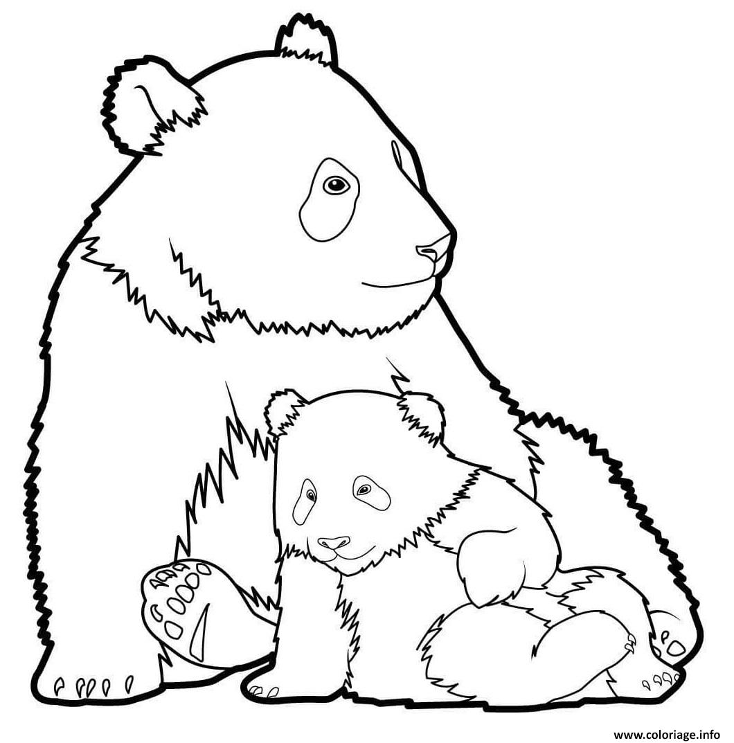 Dessin Panda 6 Coloriage Gratuit à Imprimer