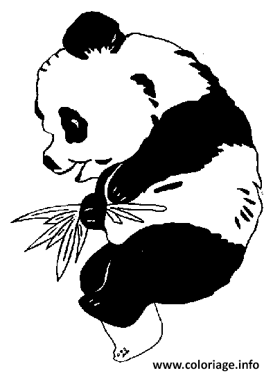 Dessin panda de profil Coloriage Gratuit à Imprimer