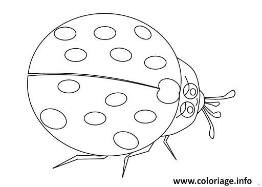 Coloriage Belle Coccinelle Realiste Dessin Coccinelle A Imprimer