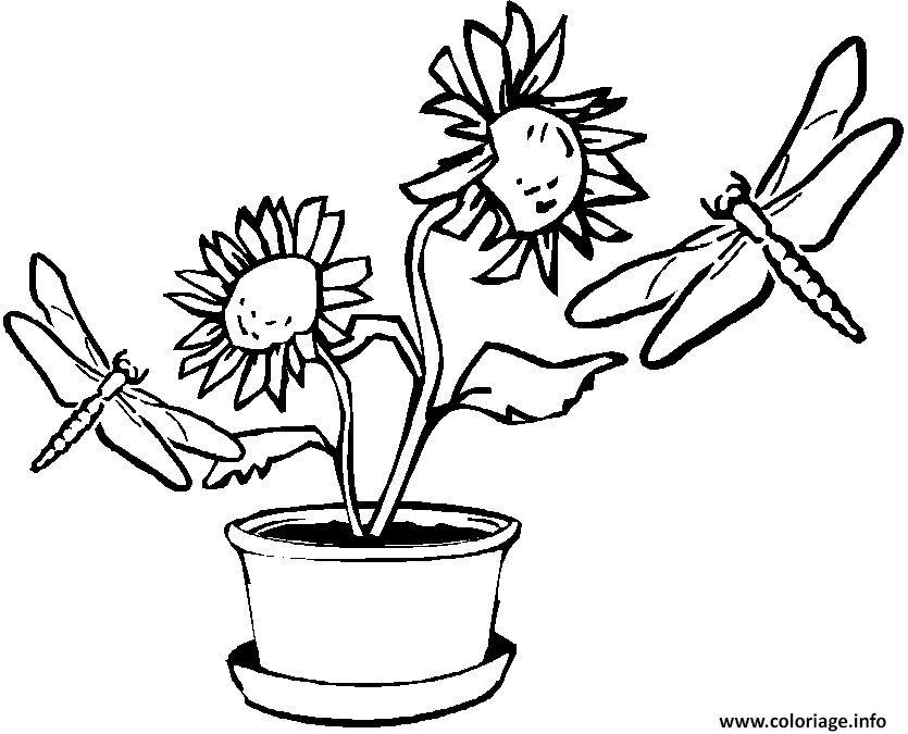 Coloriage deux libellules volent autour d un pot de fleur  JeColorie.com