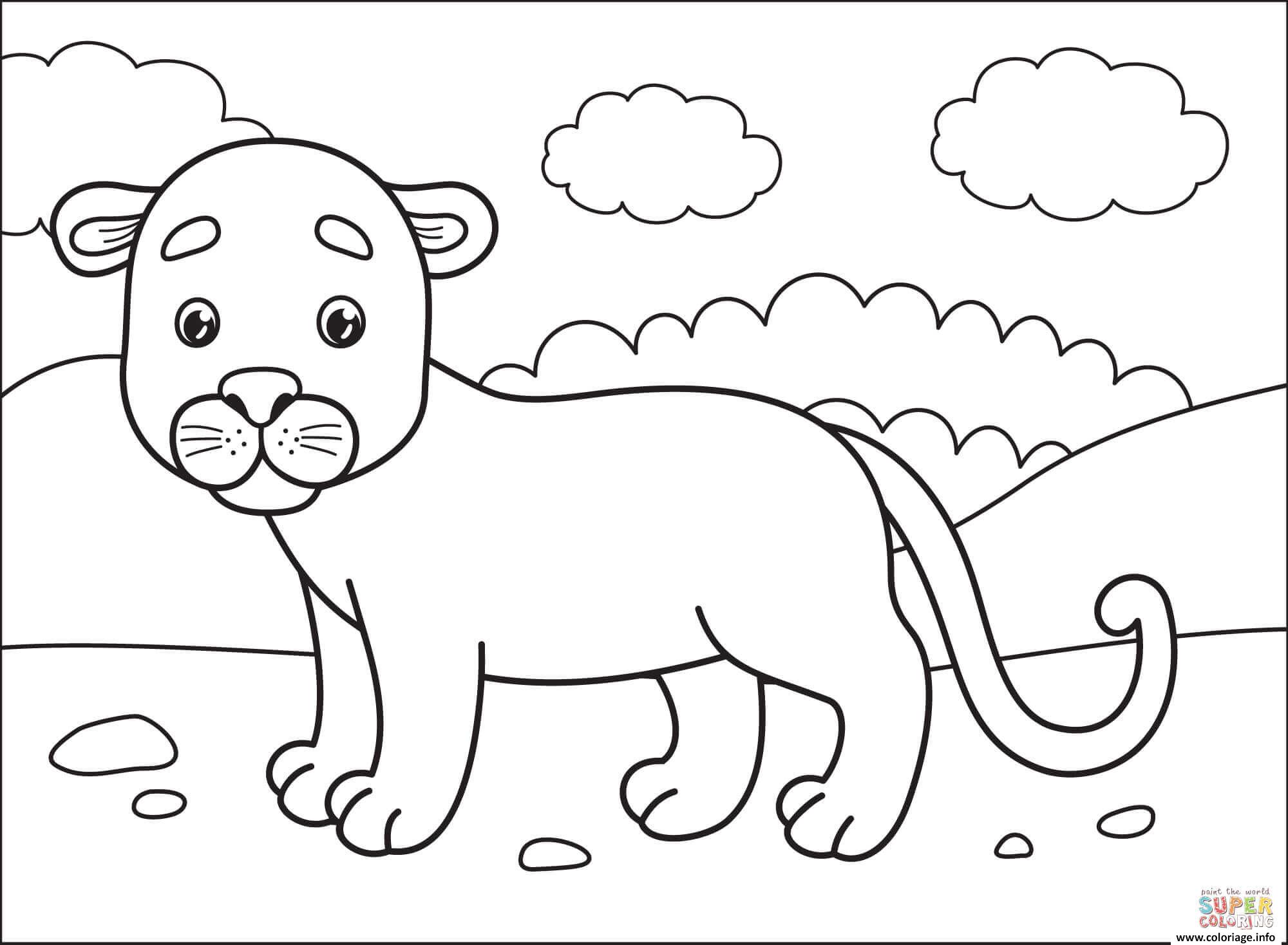 Dessin puma cougar panthere lion de montagne Coloriage Gratuit à Imprimer