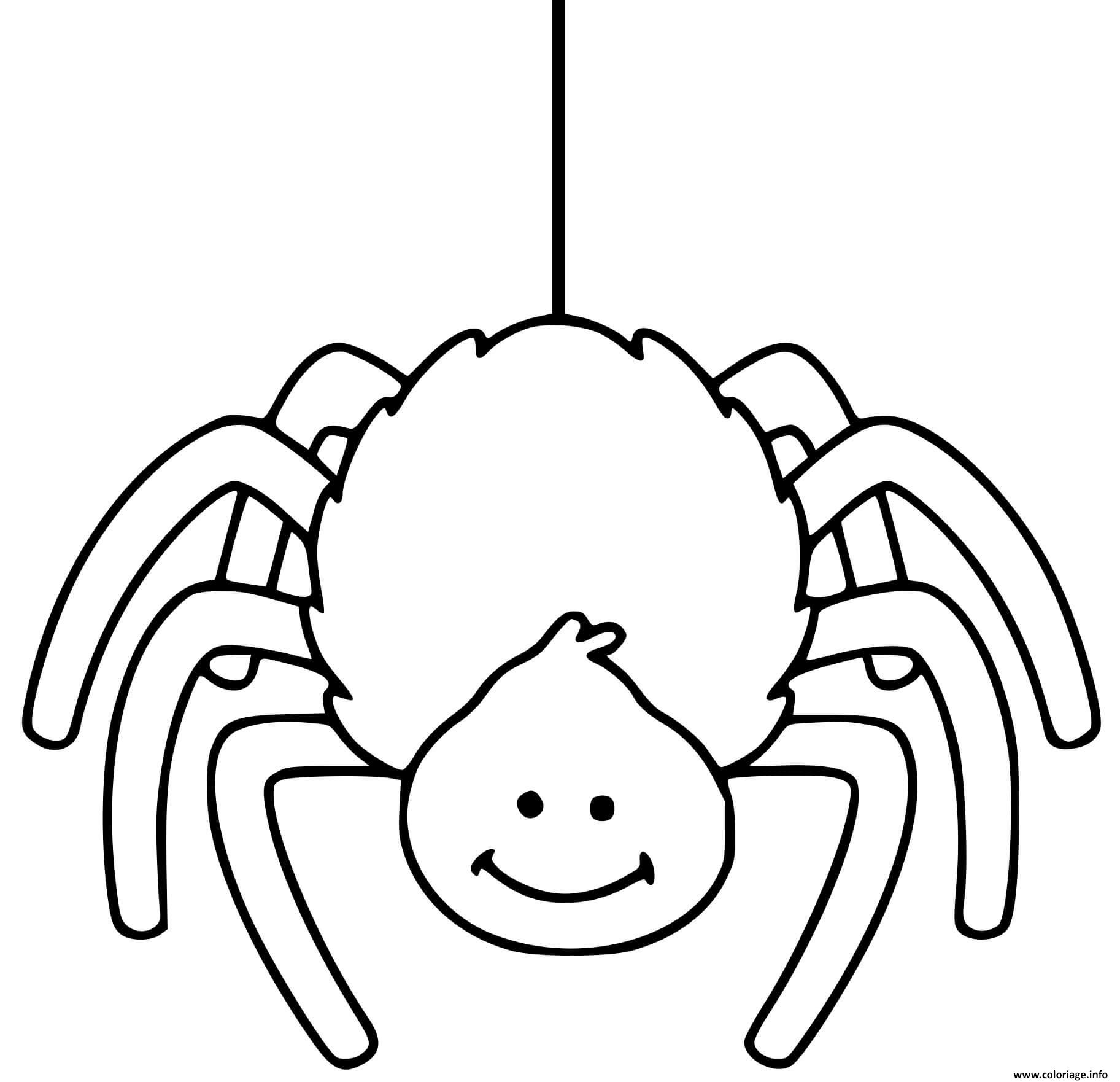 Раскраска паук для детей для Хэллоуина