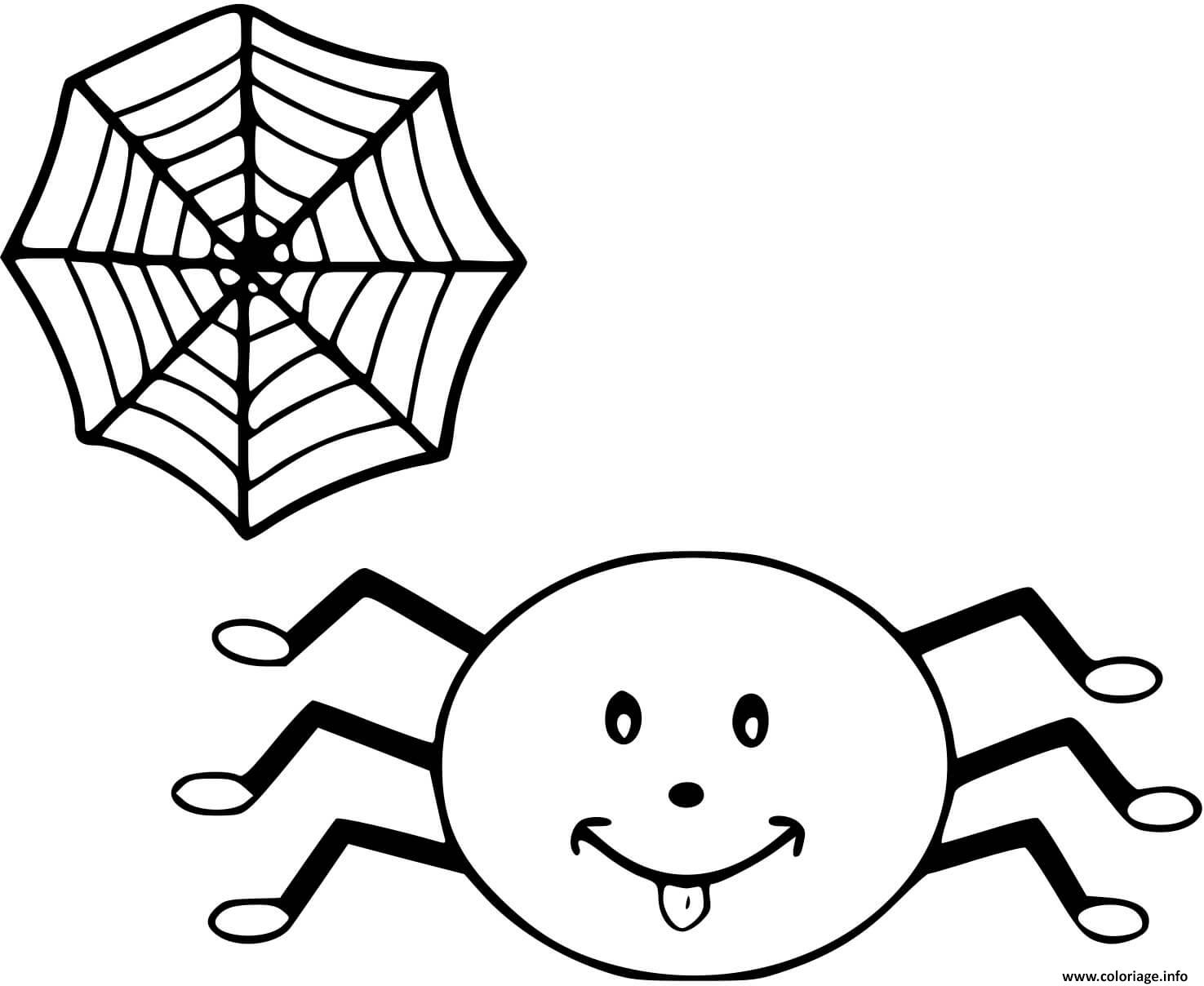 Хэллоуин раскраска для детей паук