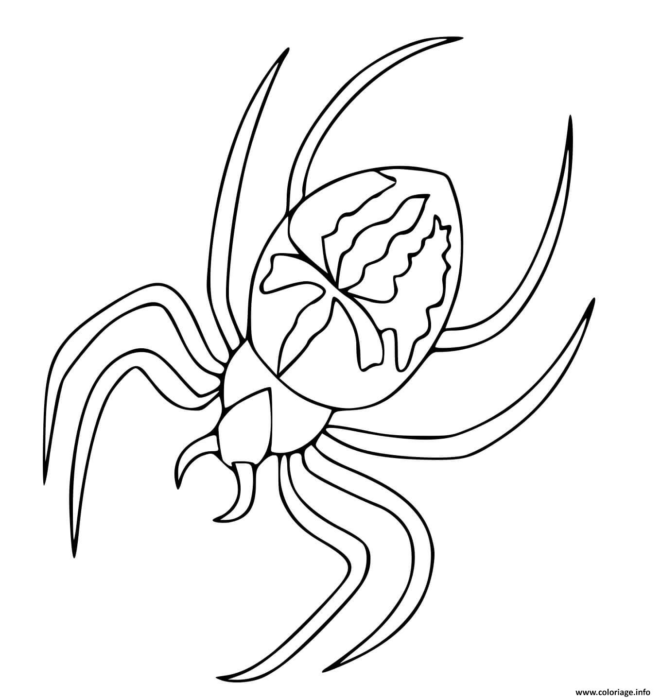 Dessin araignee spiderman Coloriage Gratuit à Imprimer