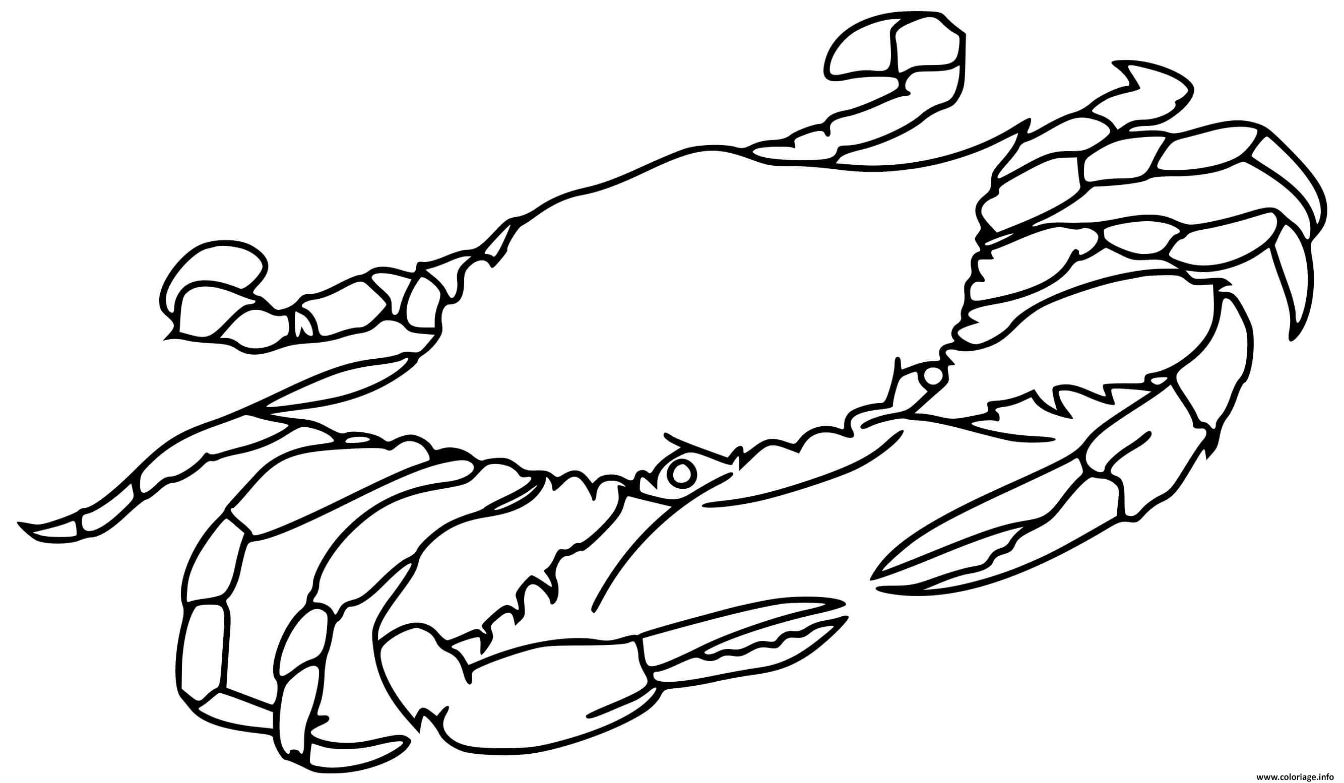 Coloriage Crabe Animal De Mer Dessin à Imprimer