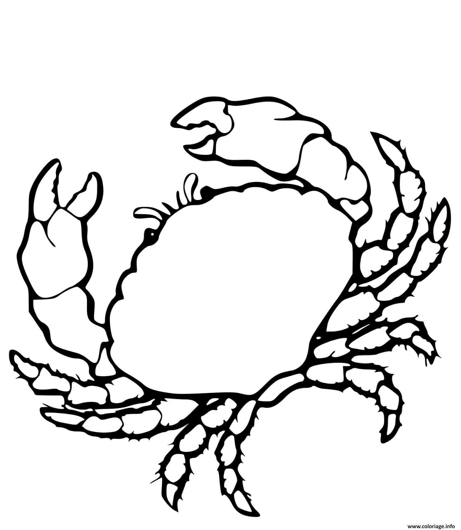 Dessin crabe realiste Coloriage Gratuit à Imprimer