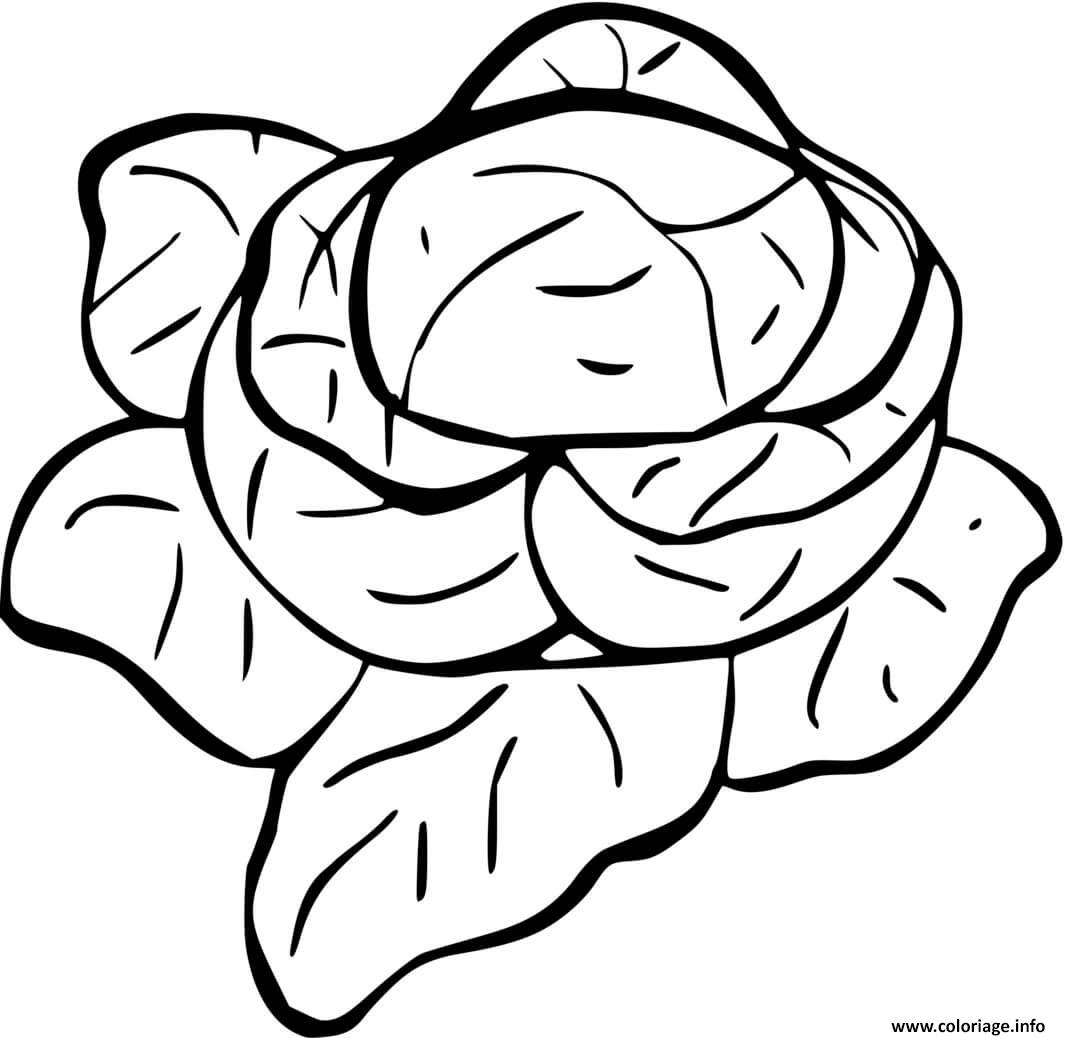 Dessin salade laitues Coloriage Gratuit à Imprimer