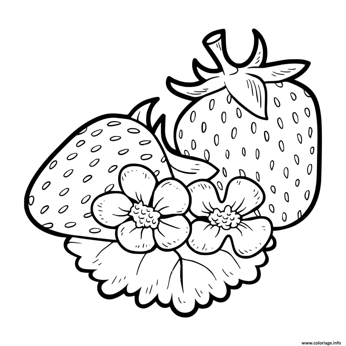 Dessin fruit fraises riche en eau et fibres Coloriage Gratuit à Imprimer