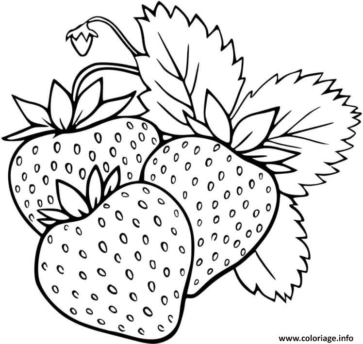 Coloriage Champs De Fraises Fruits Dessin Fraise A Imprimer