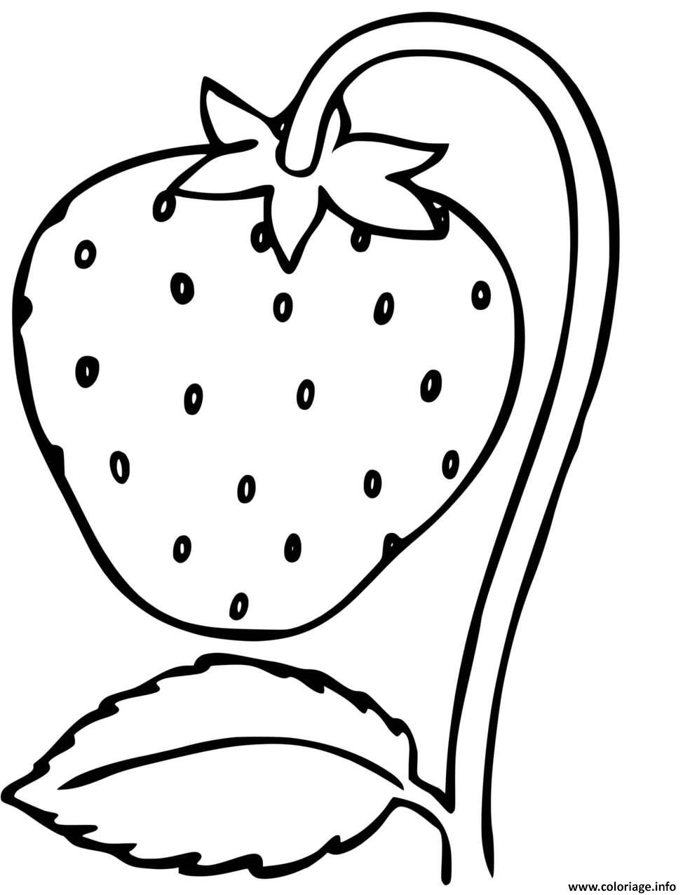 Dessin fraisier avec une fraise Coloriage Gratuit à Imprimer