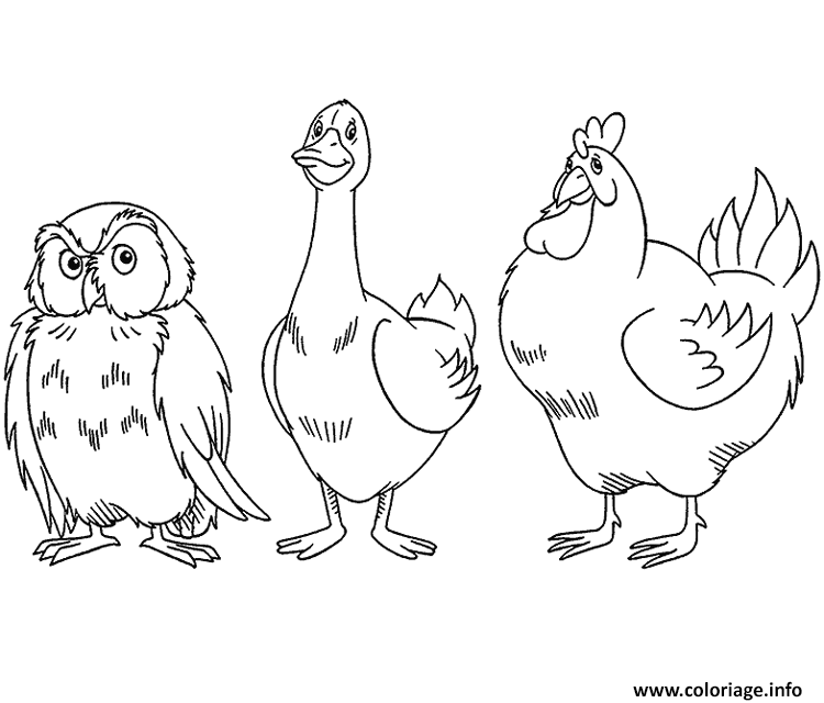 Dessin dessin animaux hibou et oie et poule Coloriage Gratuit à Imprimer