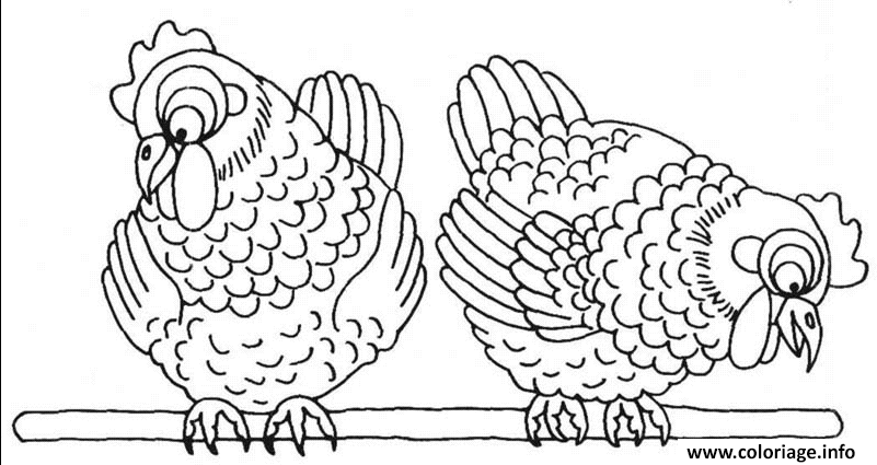 Dessin paques deux poules Coloriage Gratuit à Imprimer