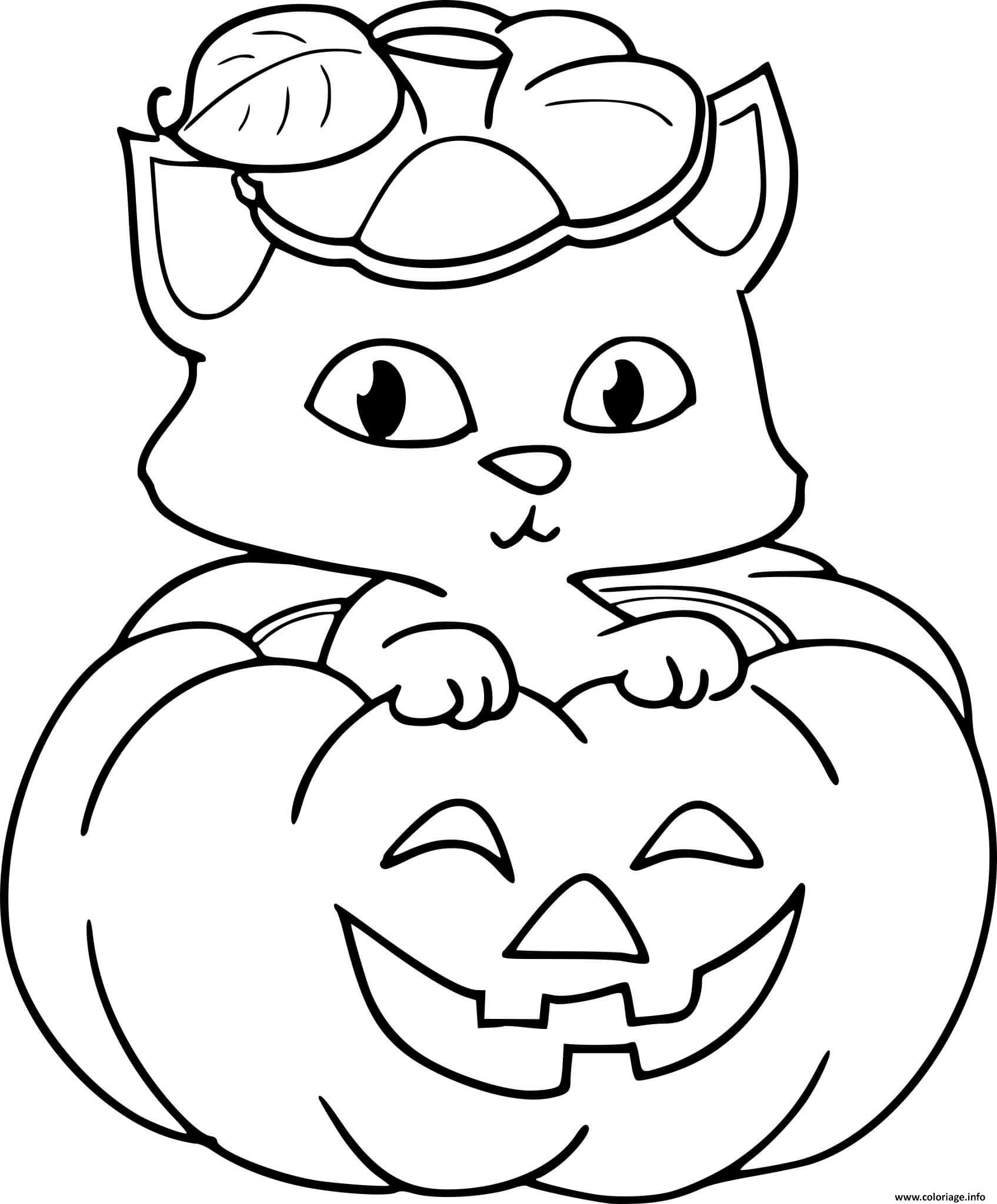 Dessin chaton dans une citrouille halloween Coloriage Gratuit à Imprimer