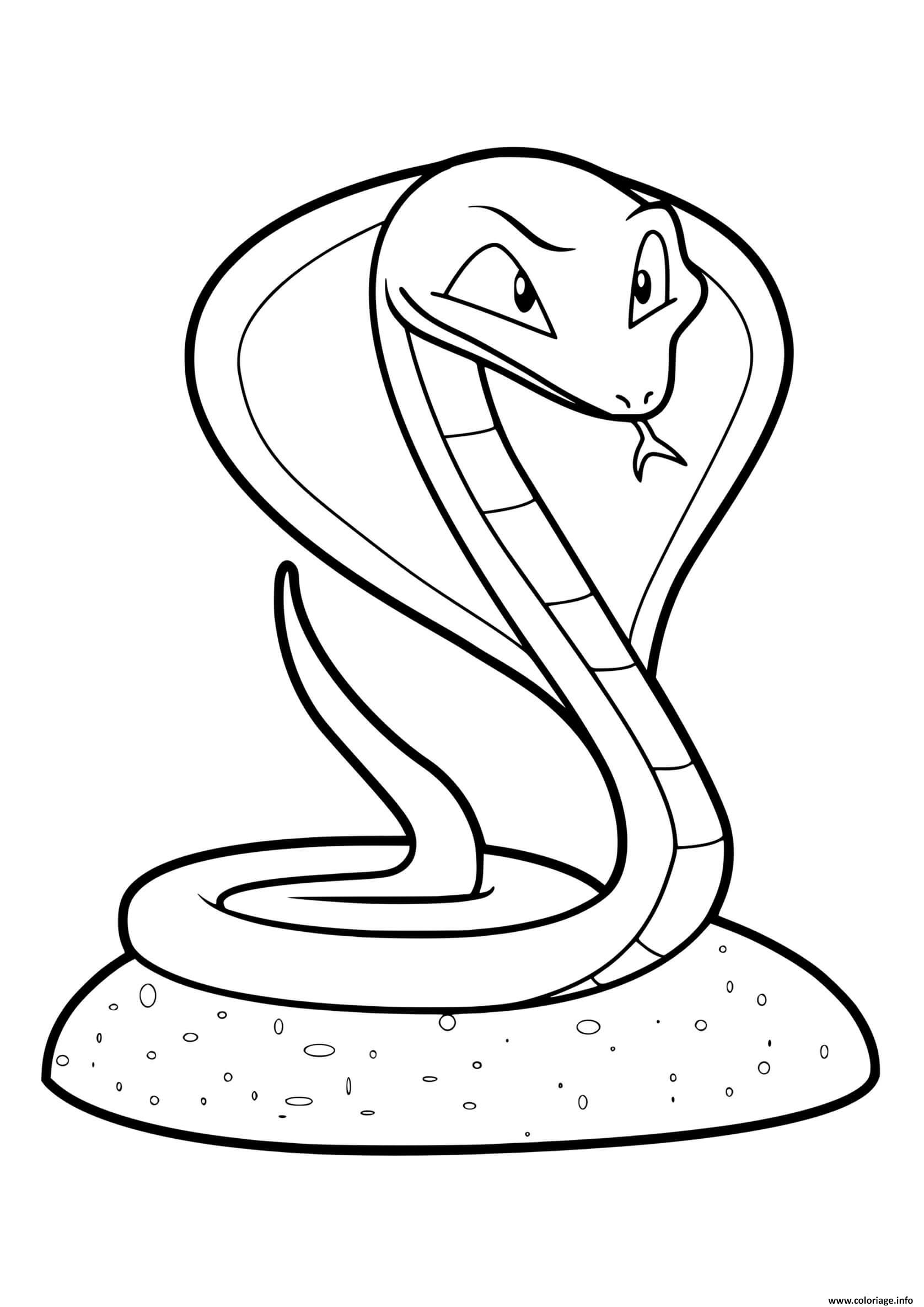 Coloriage Serpent Python Dessin à Imprimer