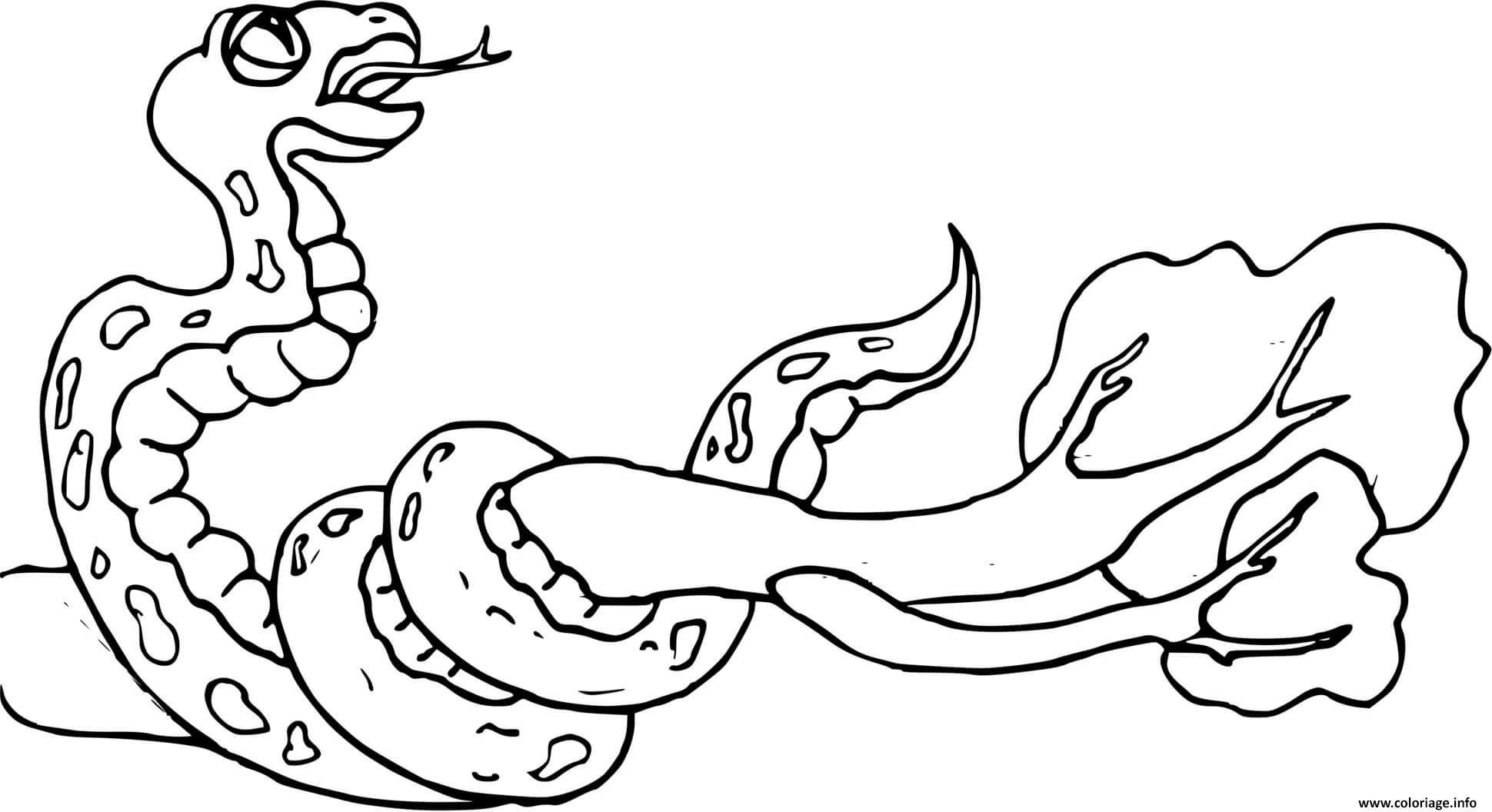 Coloriage Serpent Enroulant Une Branche Dessin à Imprimer