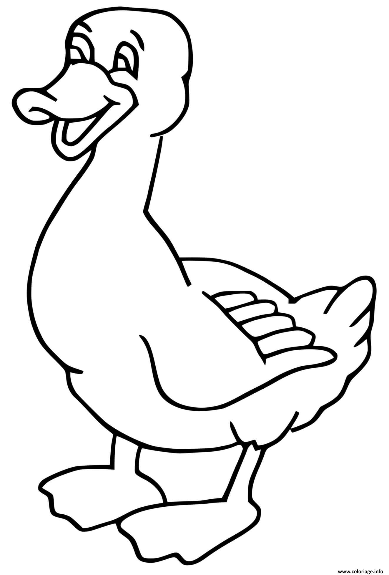 Coloriage à imprimer : un petit canard