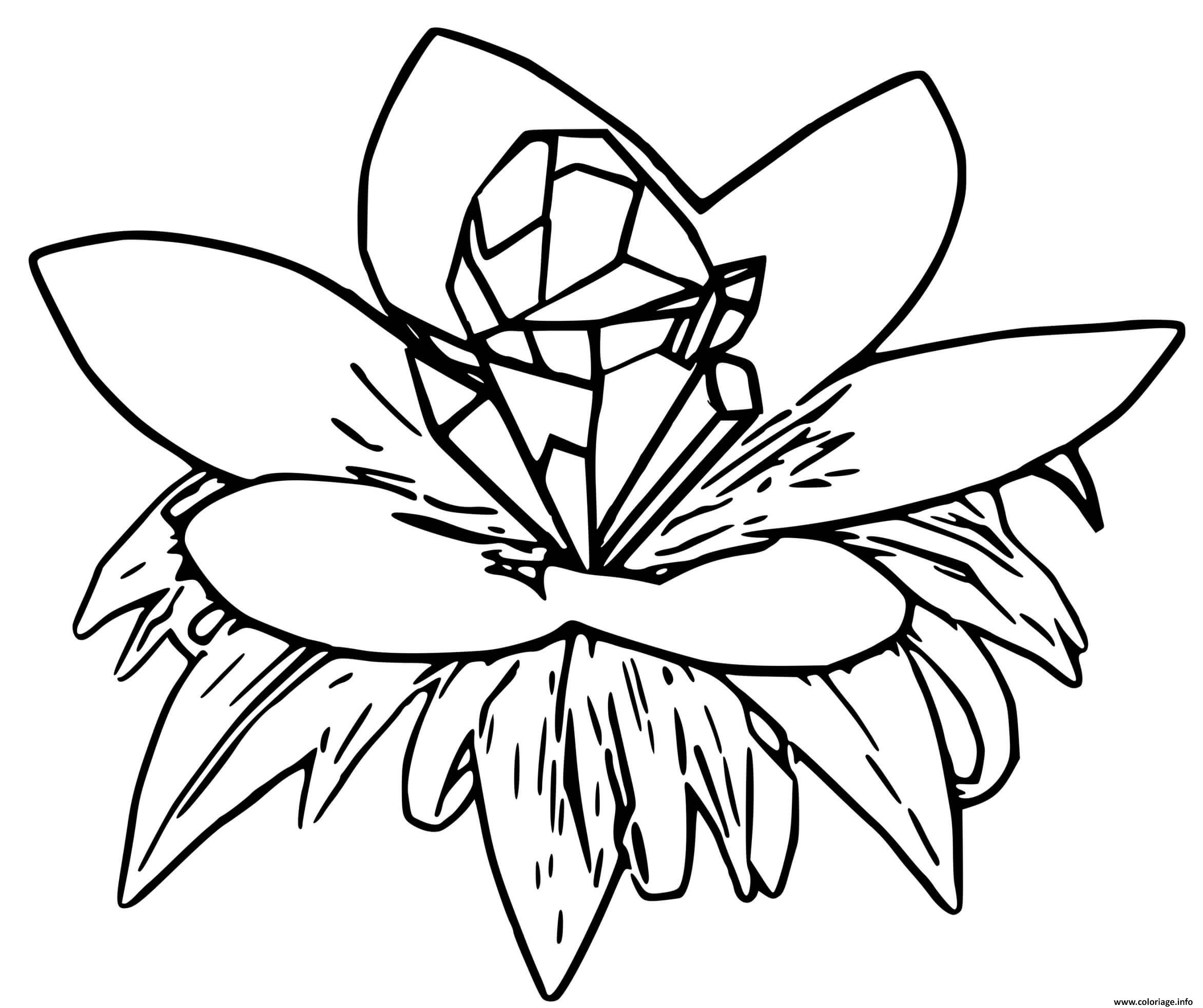 Dessin fleur de crystal pokemon snap Coloriage Gratuit à Imprimer