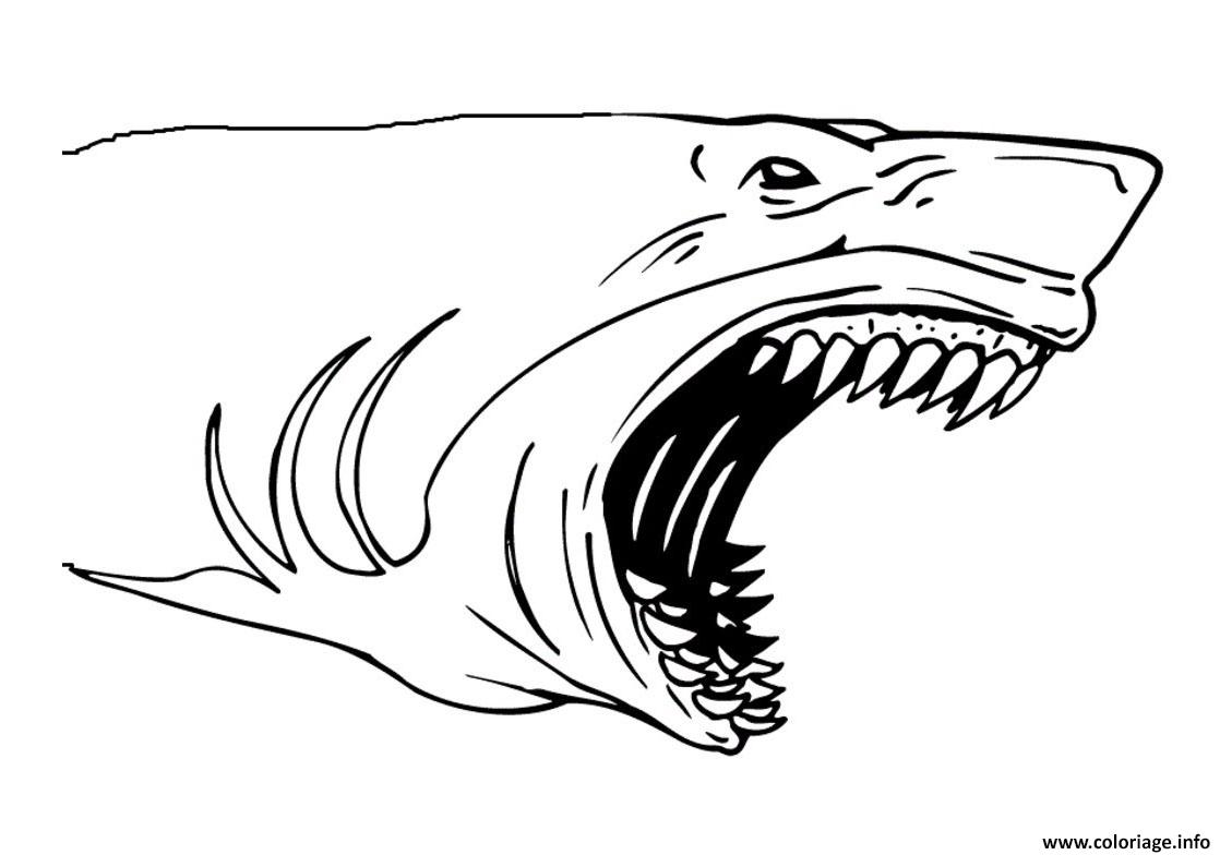 Dessin requin avec de grandes dents Coloriage Gratuit à Imprimer
