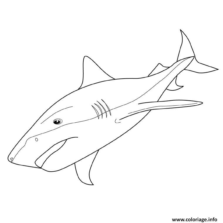 Dessin requin tigre Coloriage Gratuit à Imprimer