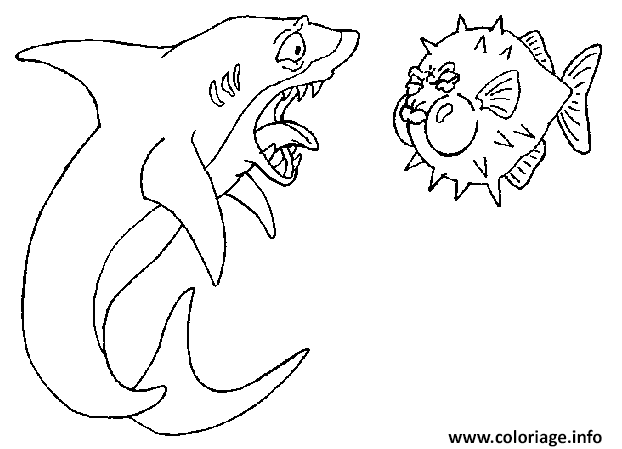 Coloriage Un Requin Qui A Peur D Un Poisson Moche Dessin à Imprimer