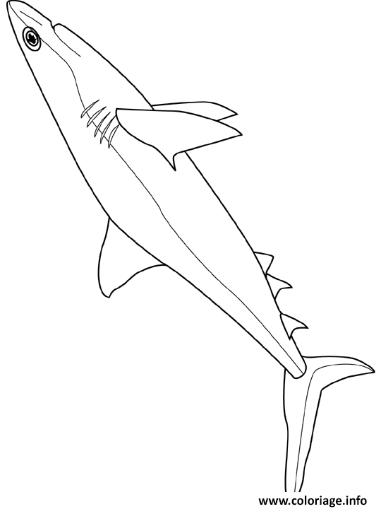 Dessin requin 2 Coloriage Gratuit à Imprimer