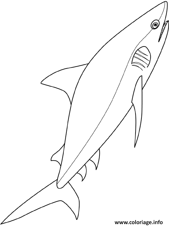 Coloriage Requin Dessin à Imprimer
