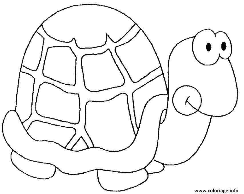 Dessin tortue avec une carapace ronde Coloriage Gratuit à Imprimer