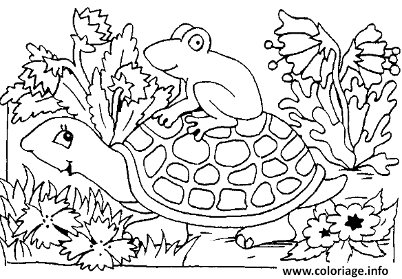 Dessin une grenouille sur la carapace de la tortue Coloriage Gratuit à Imprimer