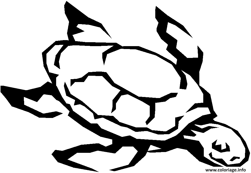 Dessin tortue marine 2 Coloriage Gratuit à Imprimer