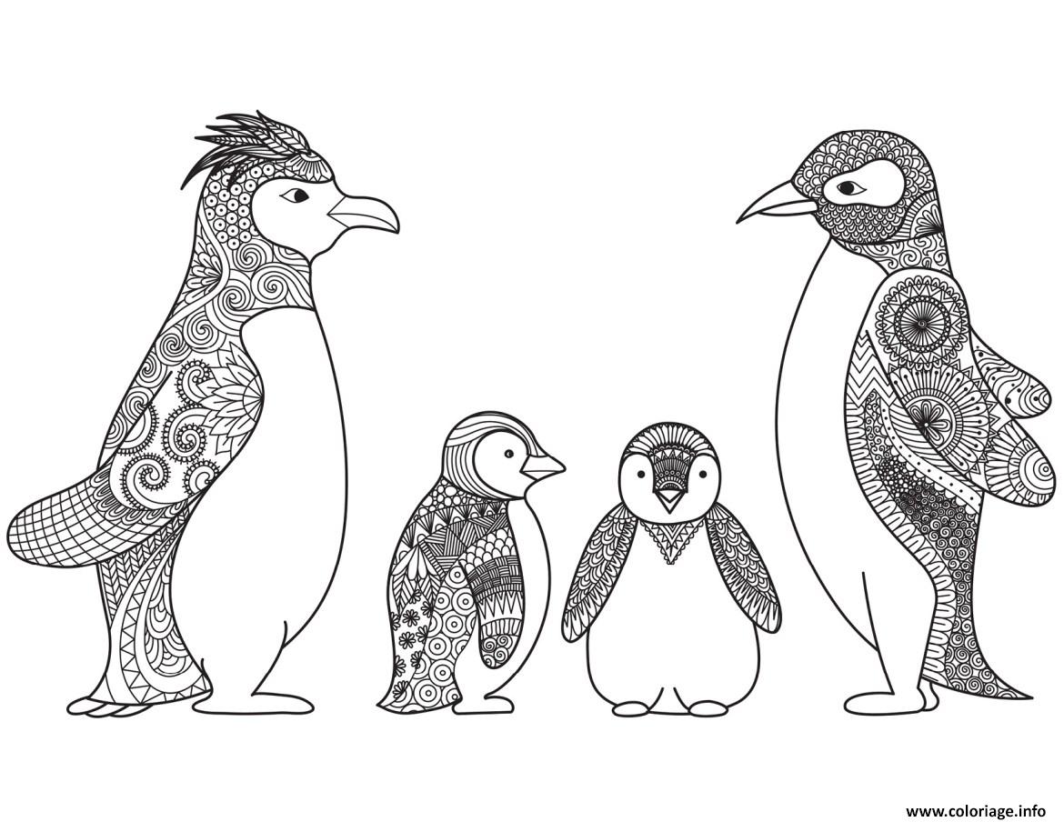 Coloriage Pinguoin Mandala Adulte Dessin Pingouin à imprimer