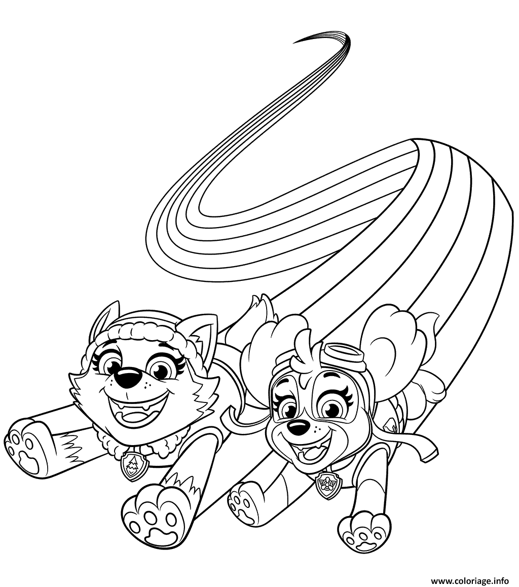 Coloriage Stella Responsable De Laviation Paw Patrol Dessin Paw Patrol à  imprimer