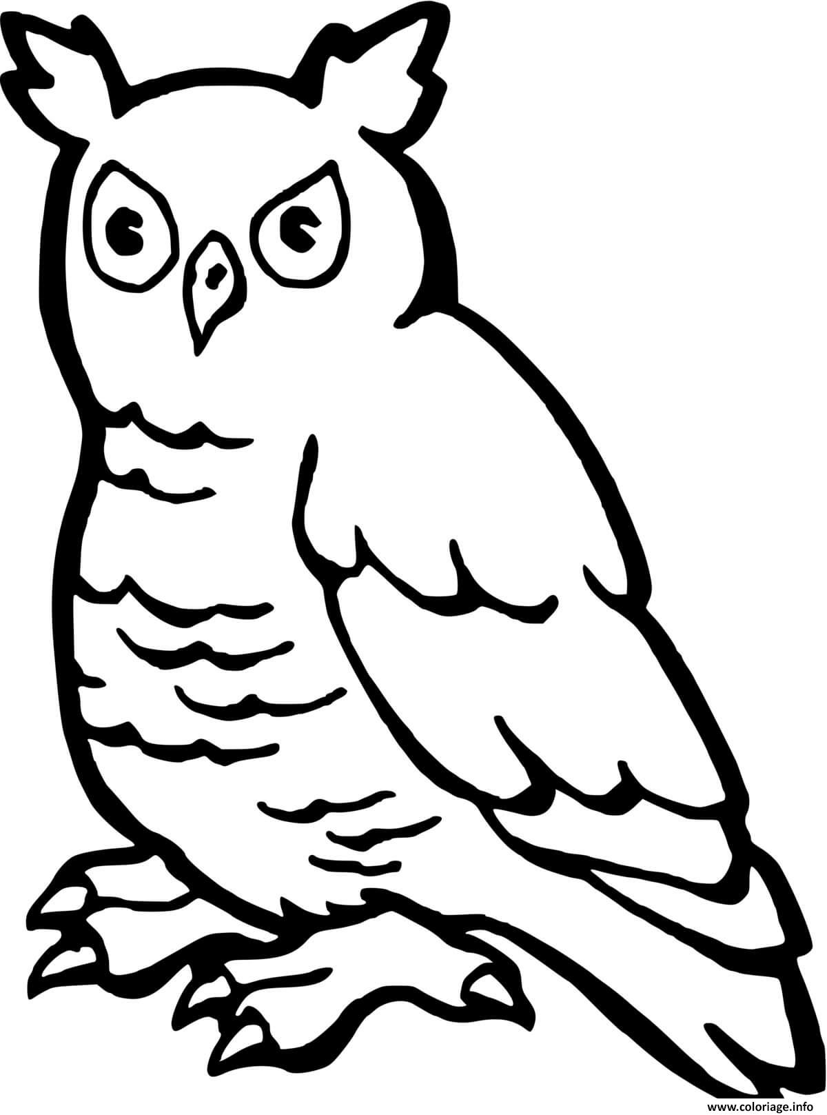 Dessin un hibou grand duc a colorier Coloriage Gratuit à Imprimer