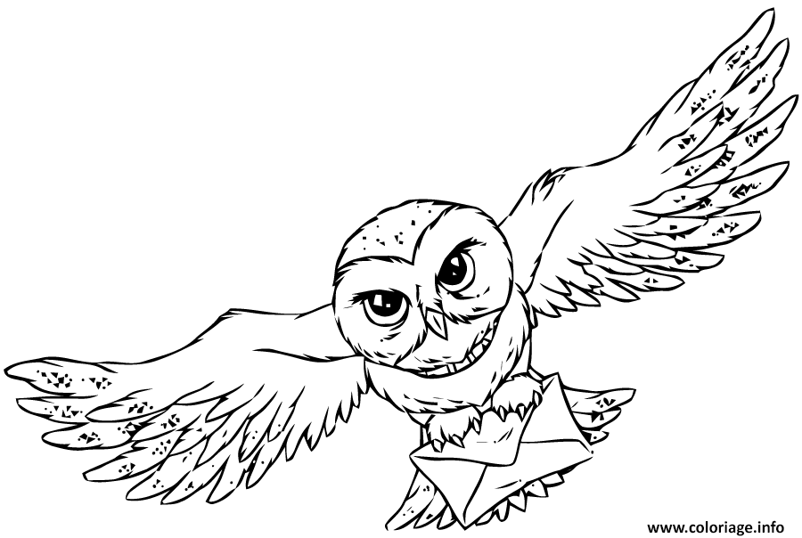 Coloriage Harry Potter Chouette Hedwige - Coloriage Gratuit à