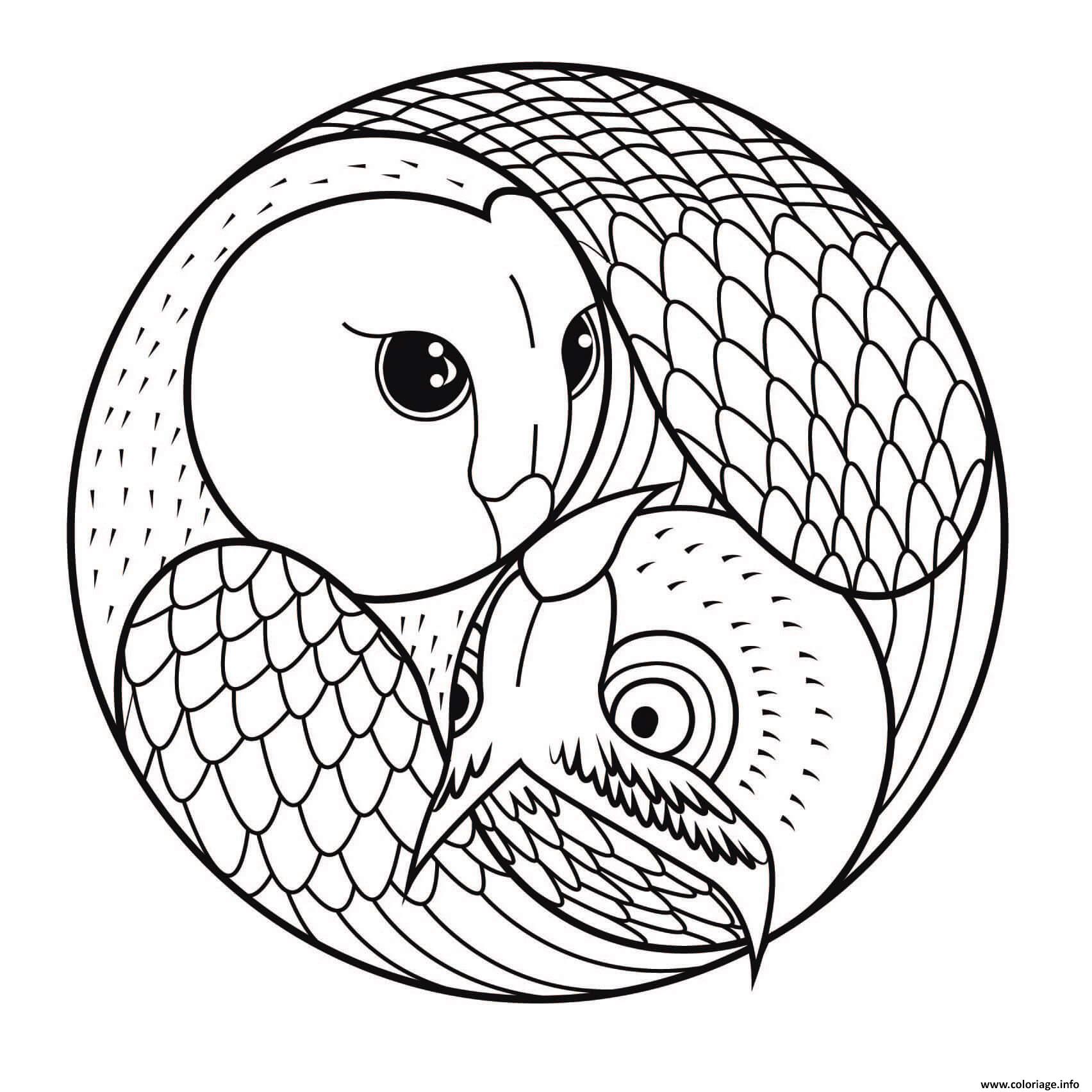 Dessin mandala hibou et chouette Coloriage Gratuit à Imprimer