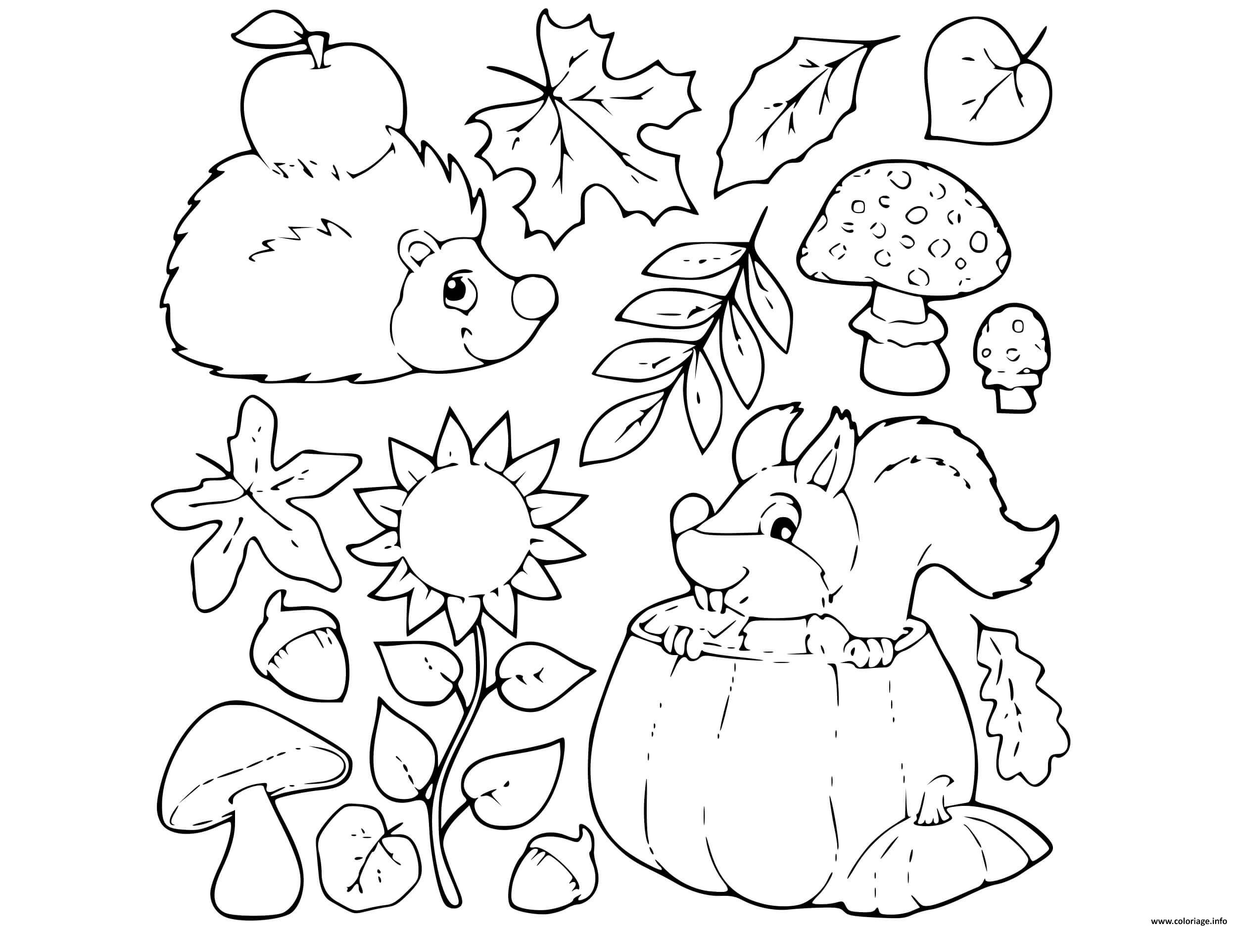 Dessin automne pommes ecureuil herisson Coloriage Gratuit à Imprimer