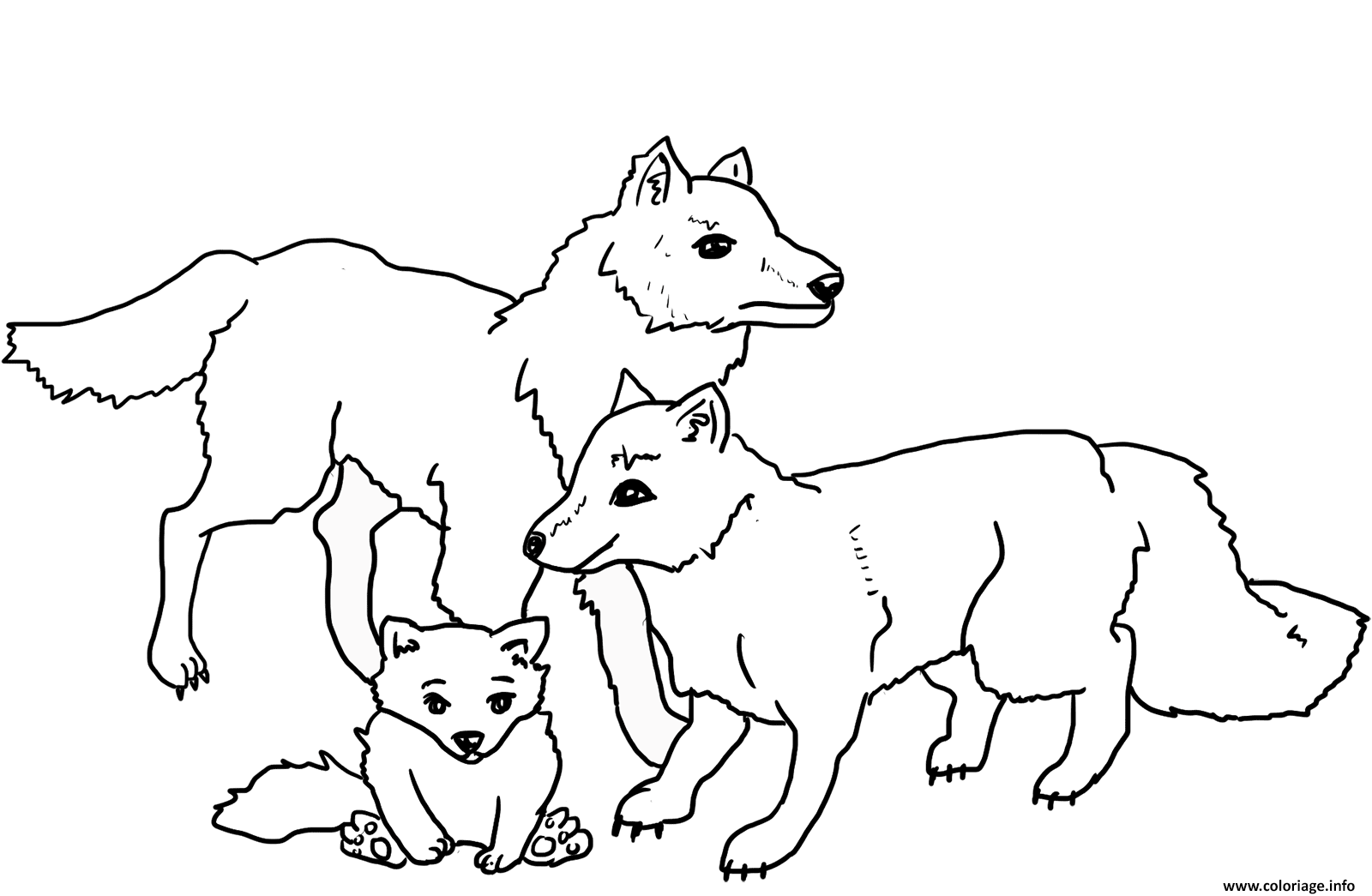 Coloriage Famille De Loups Dessin à Imprimer
