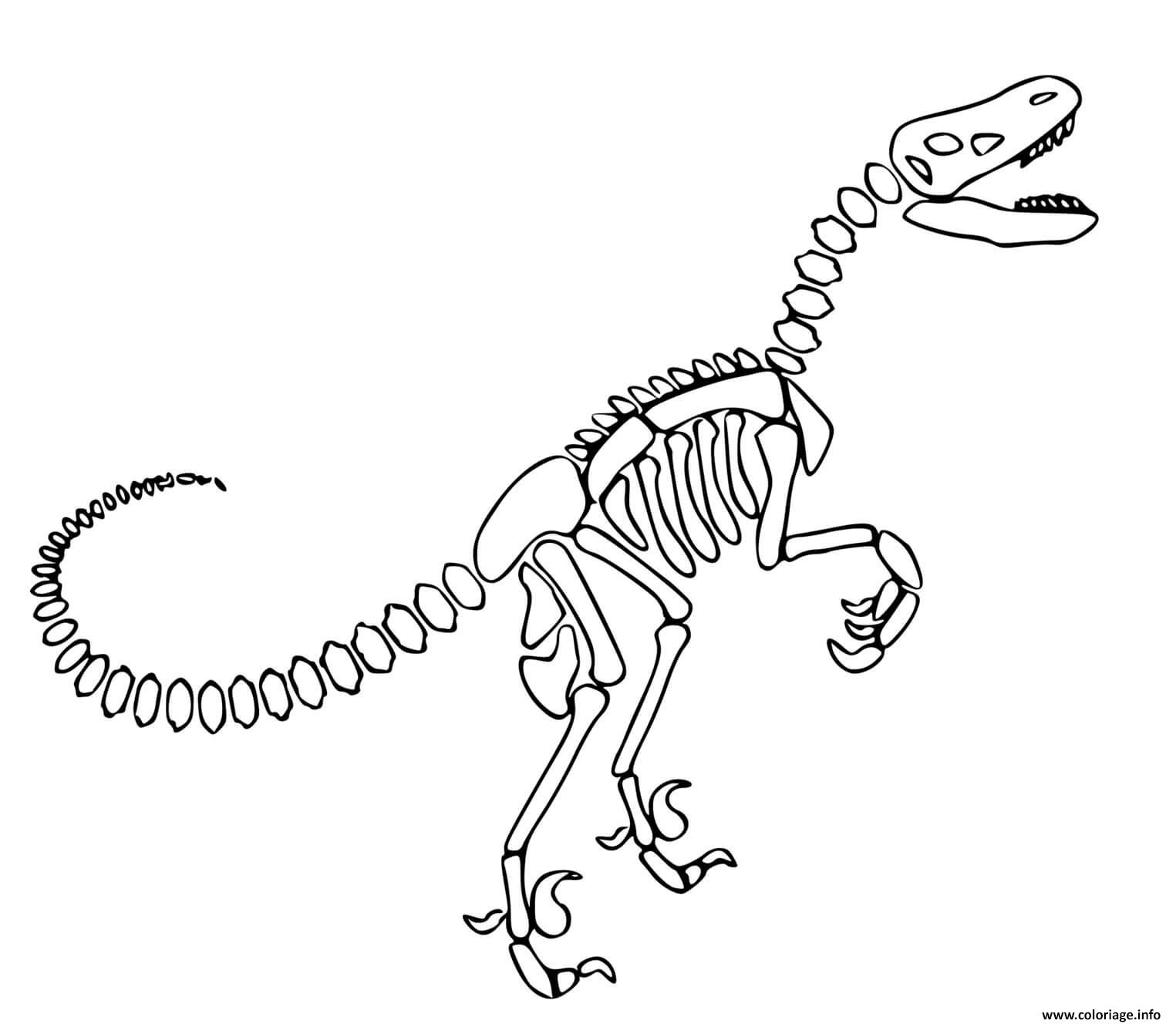 Dessin dinosaure squelette Coloriage Gratuit à Imprimer