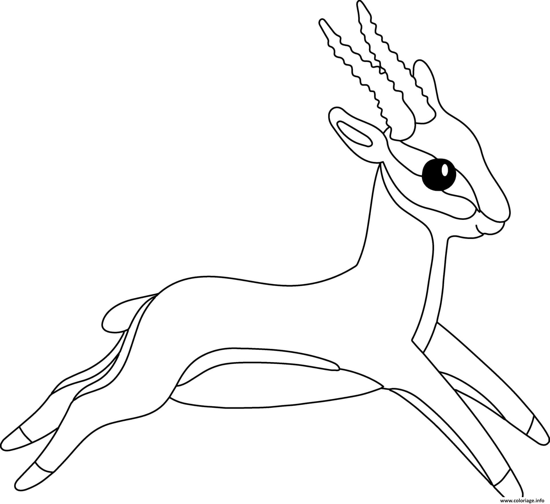 Dessin antilope avec des pattes menues et cornes longues arquees vivant en afrique asie et amerique du nord Coloriage Gratuit à Imprimer