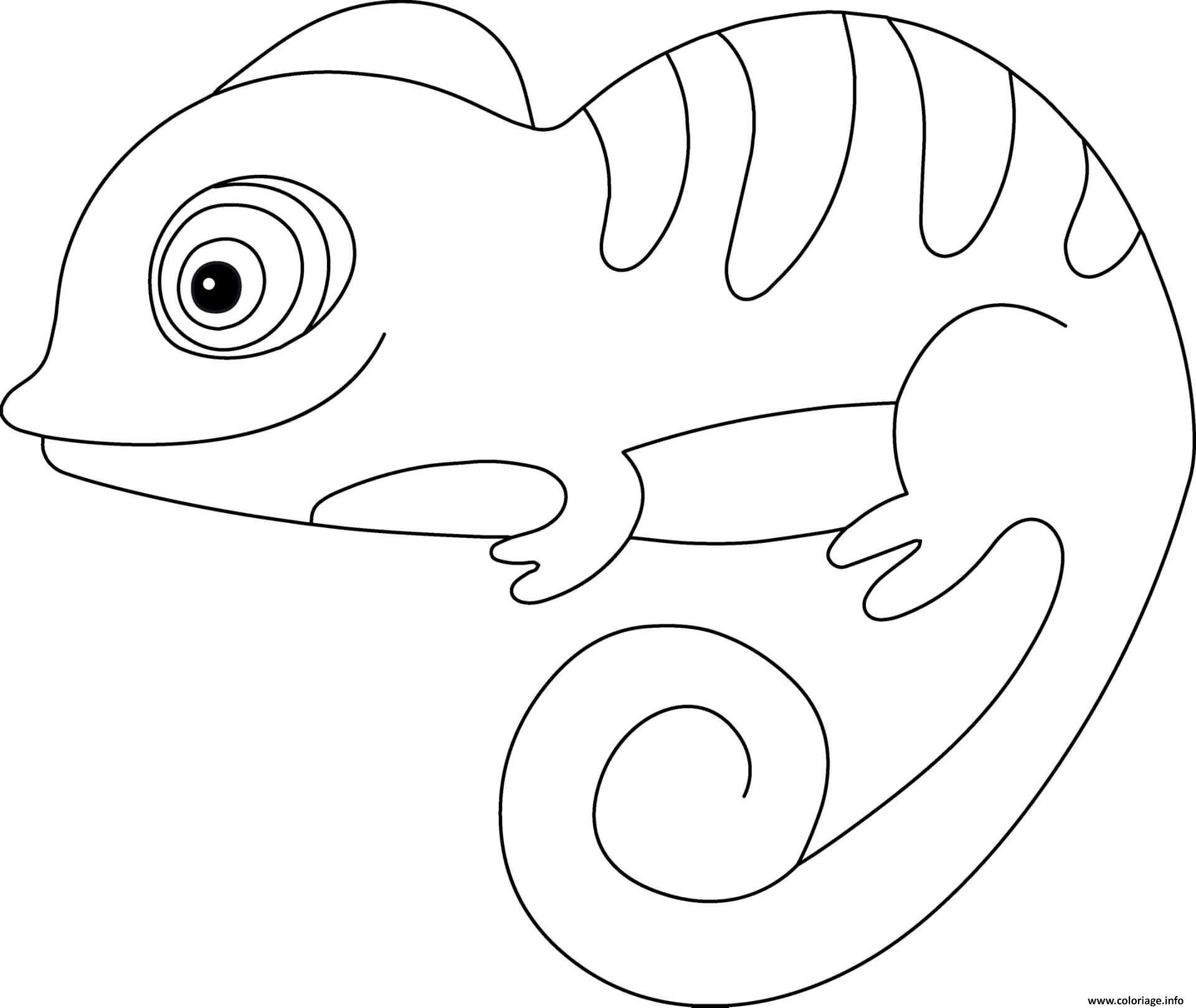 Dessin cameleon facile maternelle Coloriage Gratuit à Imprimer