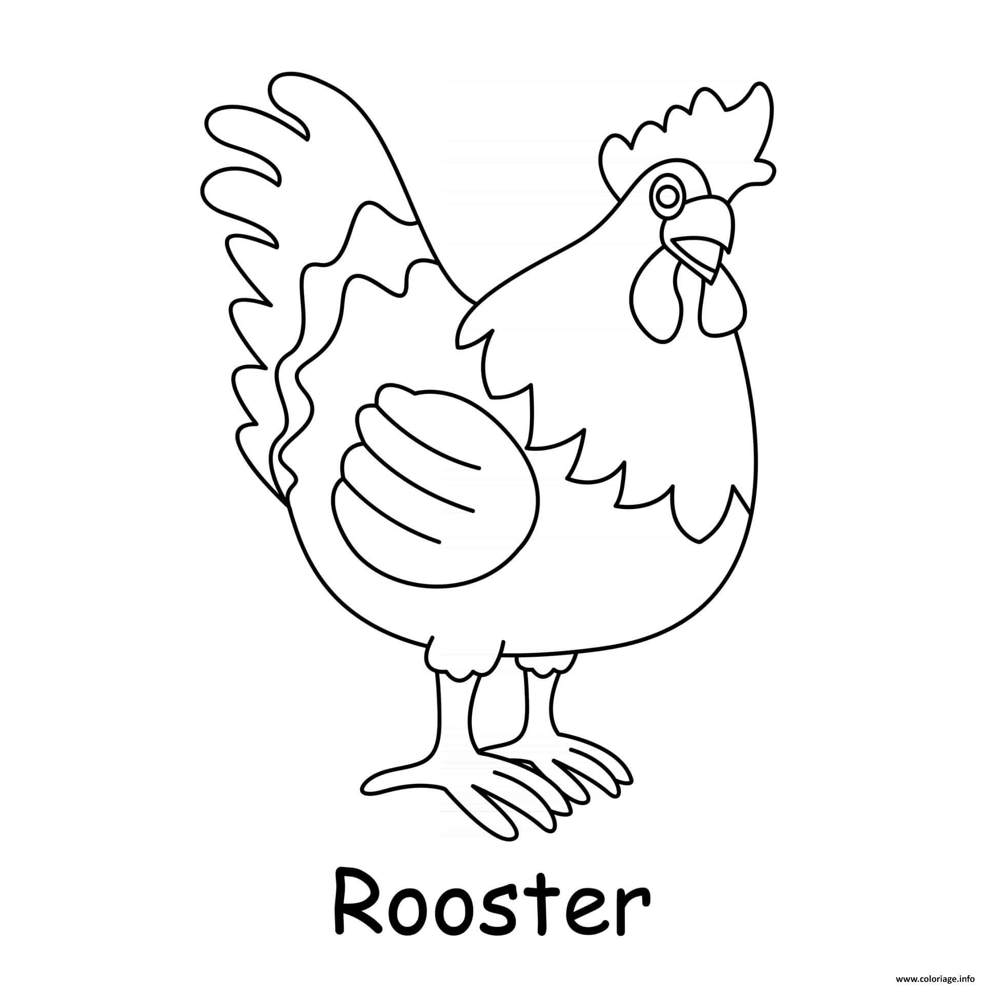 Dessin coq poule male rooster Coloriage Gratuit à Imprimer