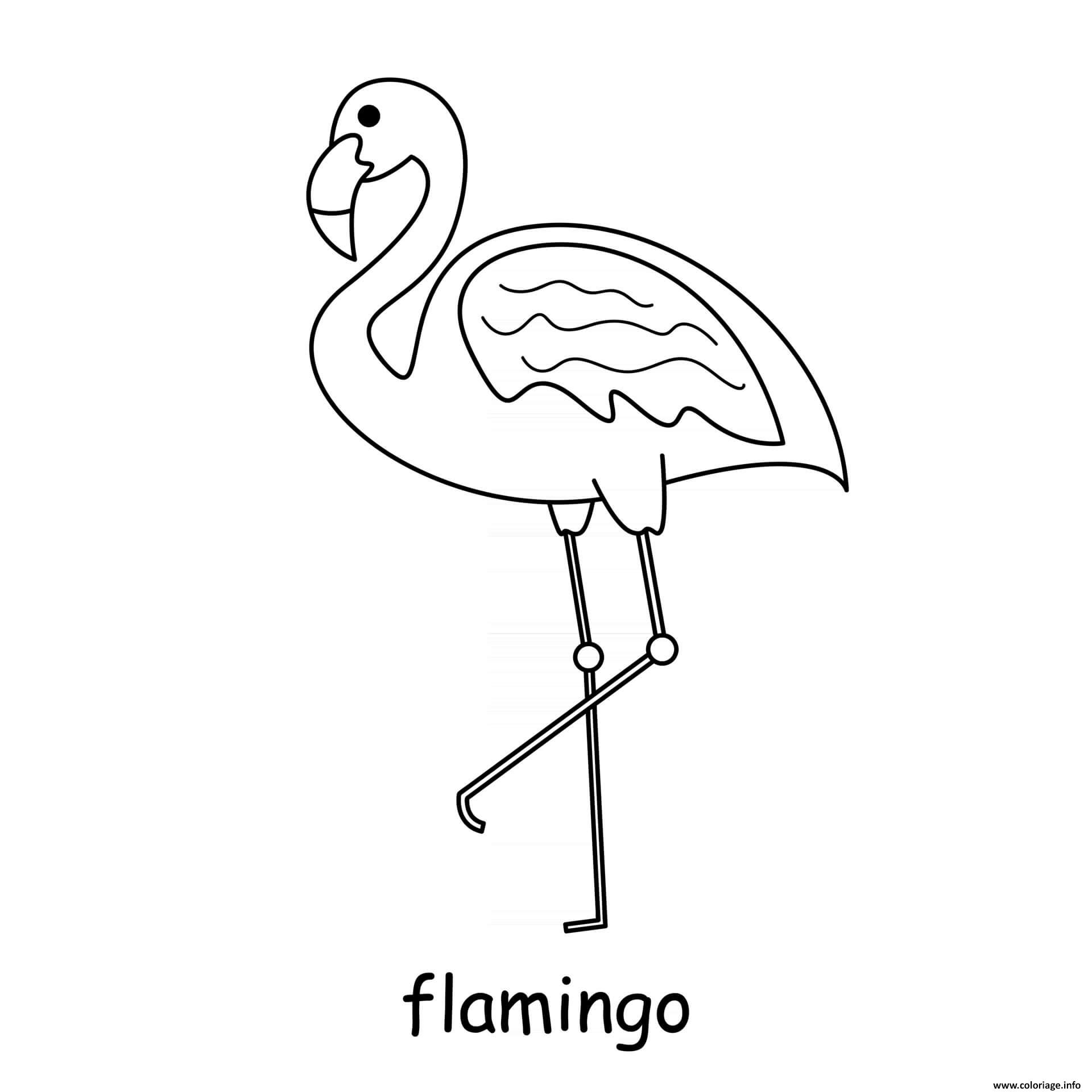 Coloriage Flamingo Dessin à Imprimer