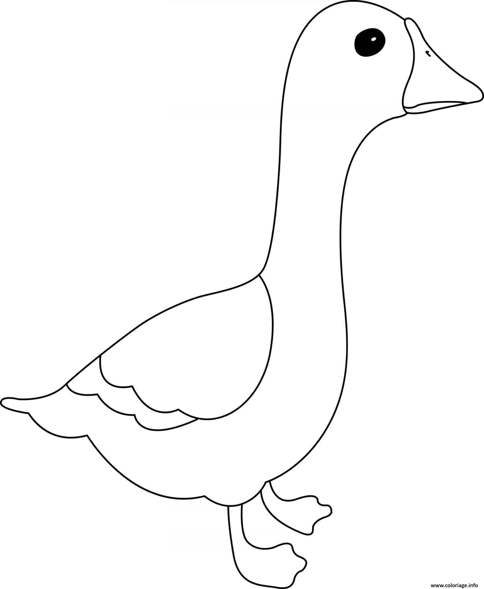 Dessin oie animal Coloriage Gratuit à Imprimer