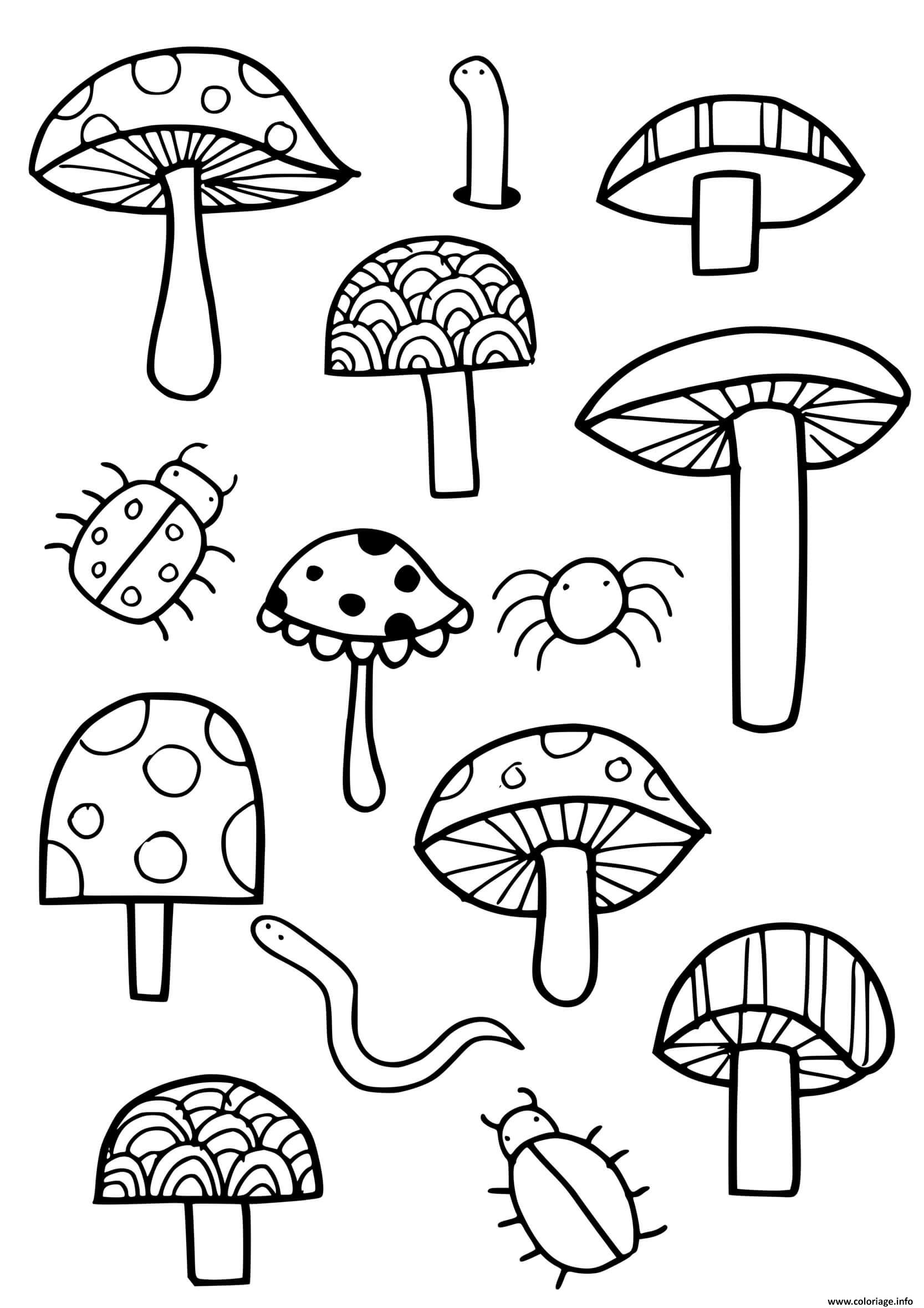 Dessin champignons coccinelle araignee Coloriage Gratuit à Imprimer