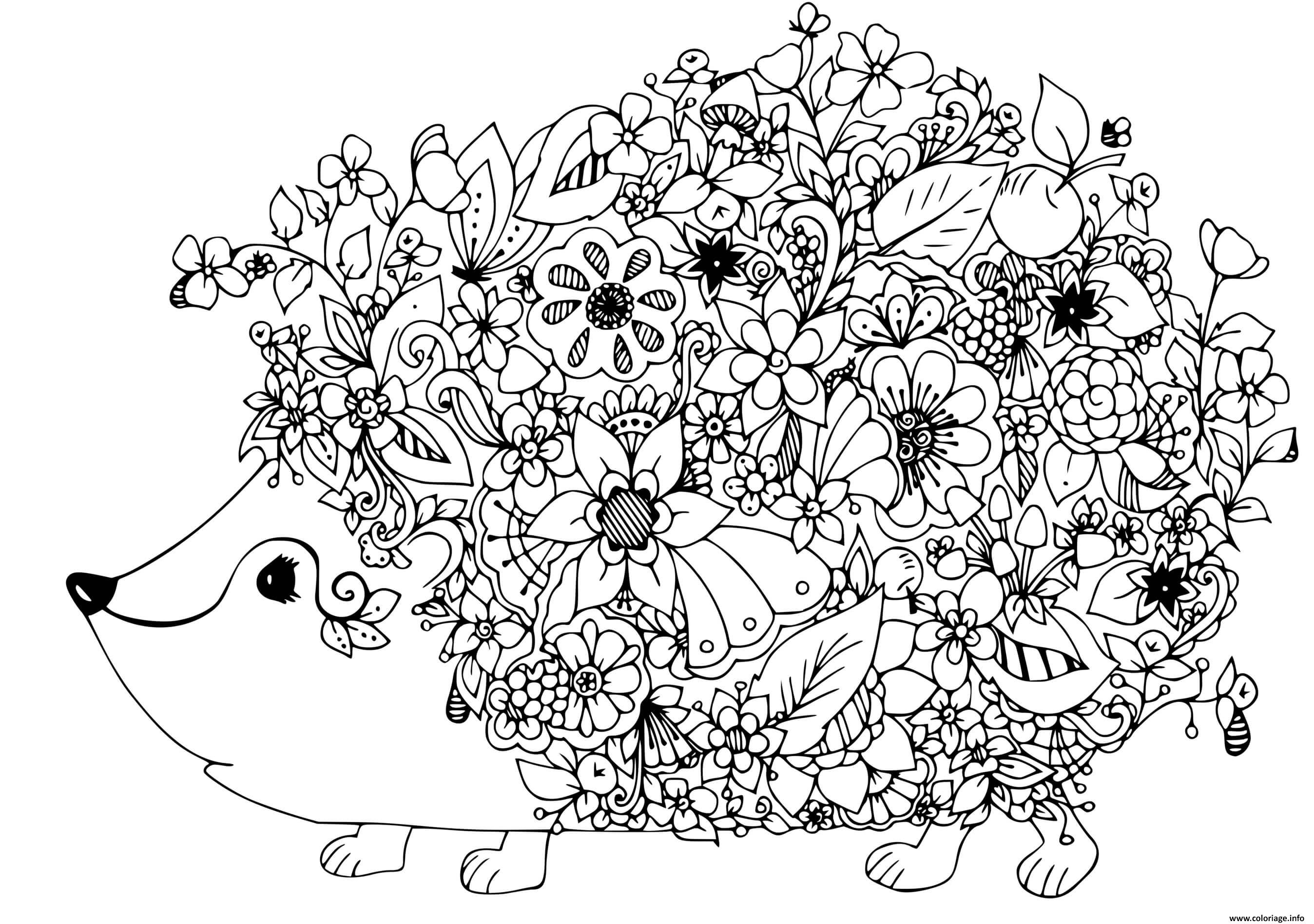 Dessin herisson mandala fleurs et roses Coloriage Gratuit à Imprimer