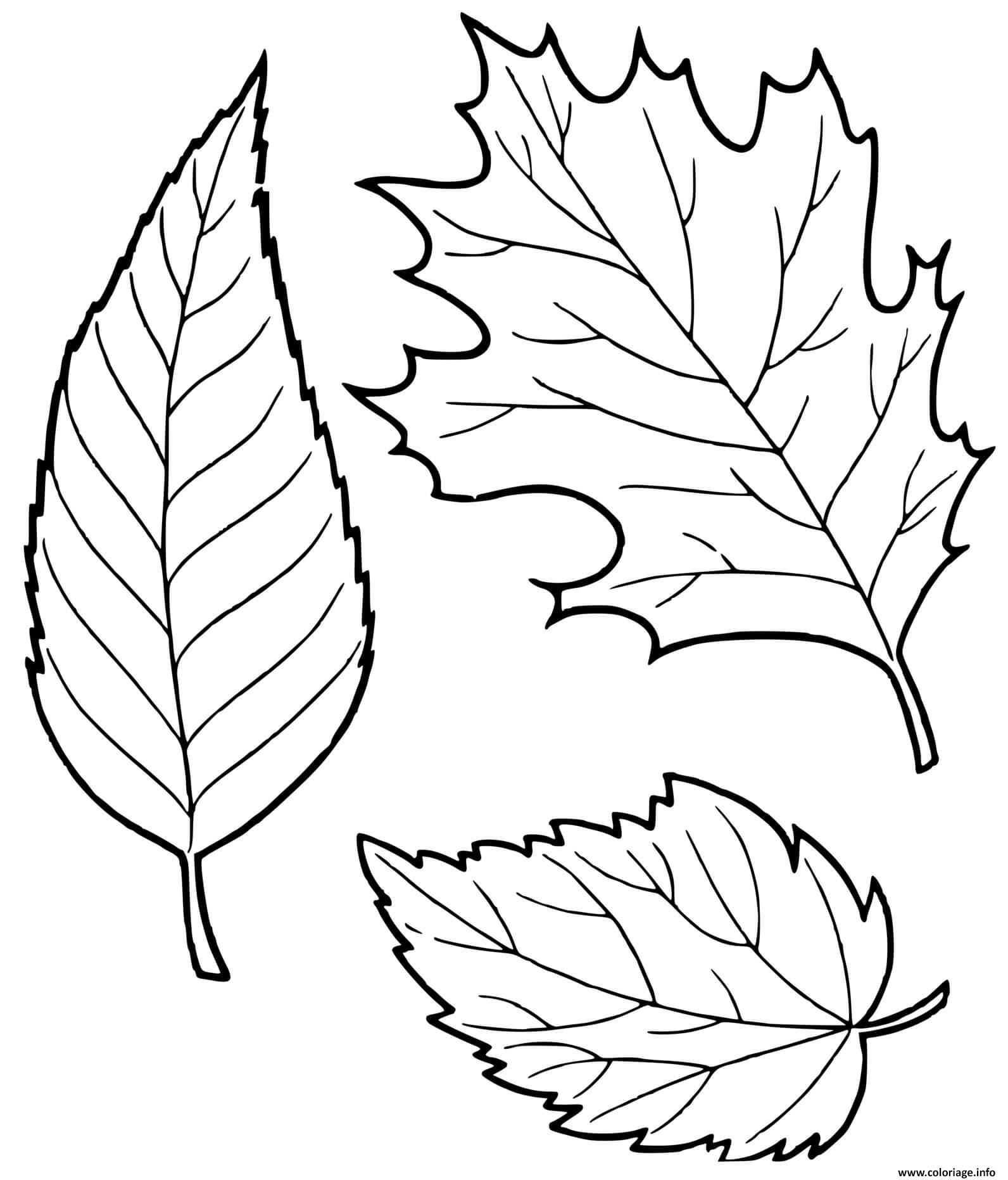 Coloriage feuilles automne - JeColorie.com