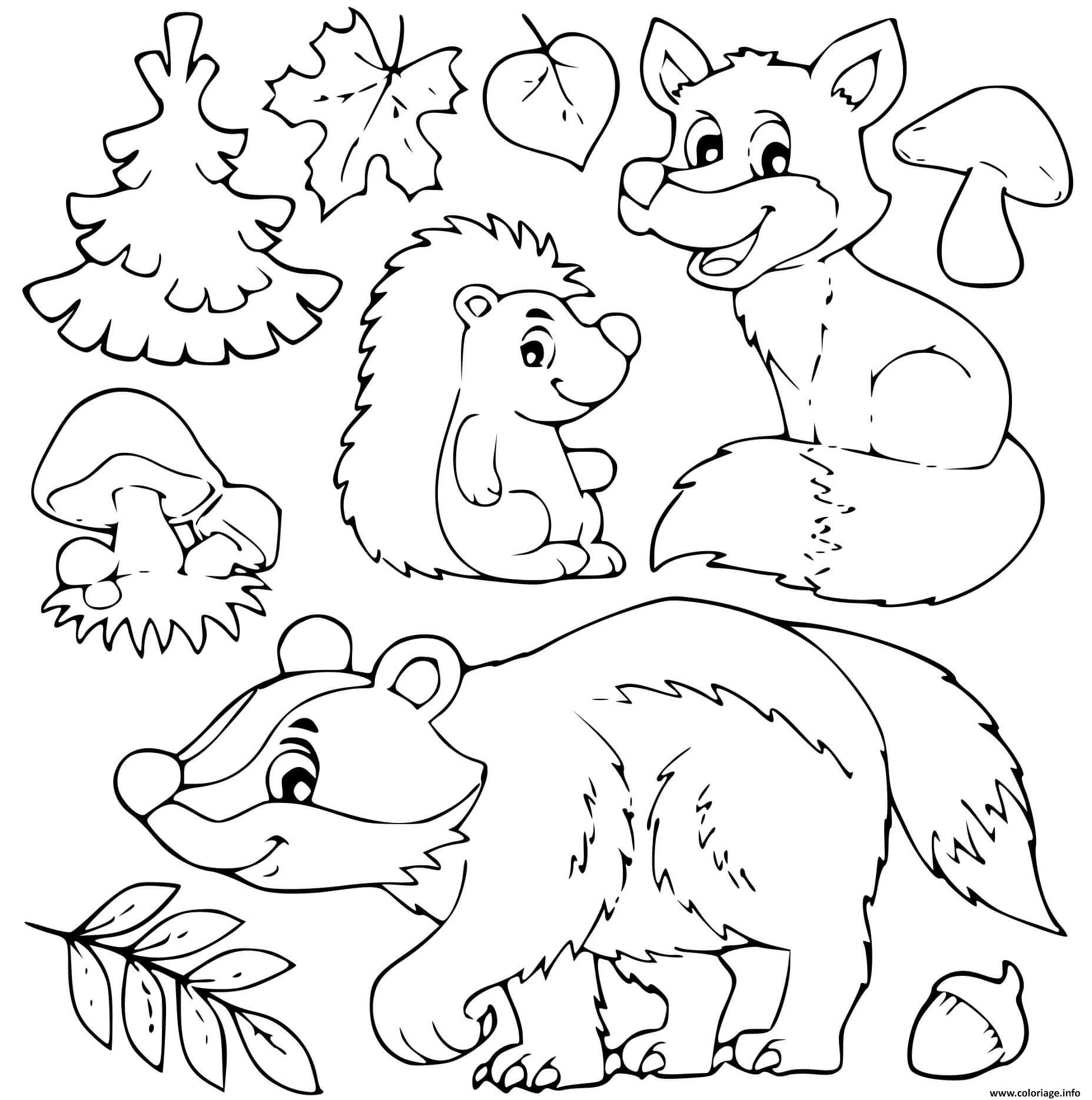 Coloriage animaux automne herisson feuilles champignons  JeColorie.com