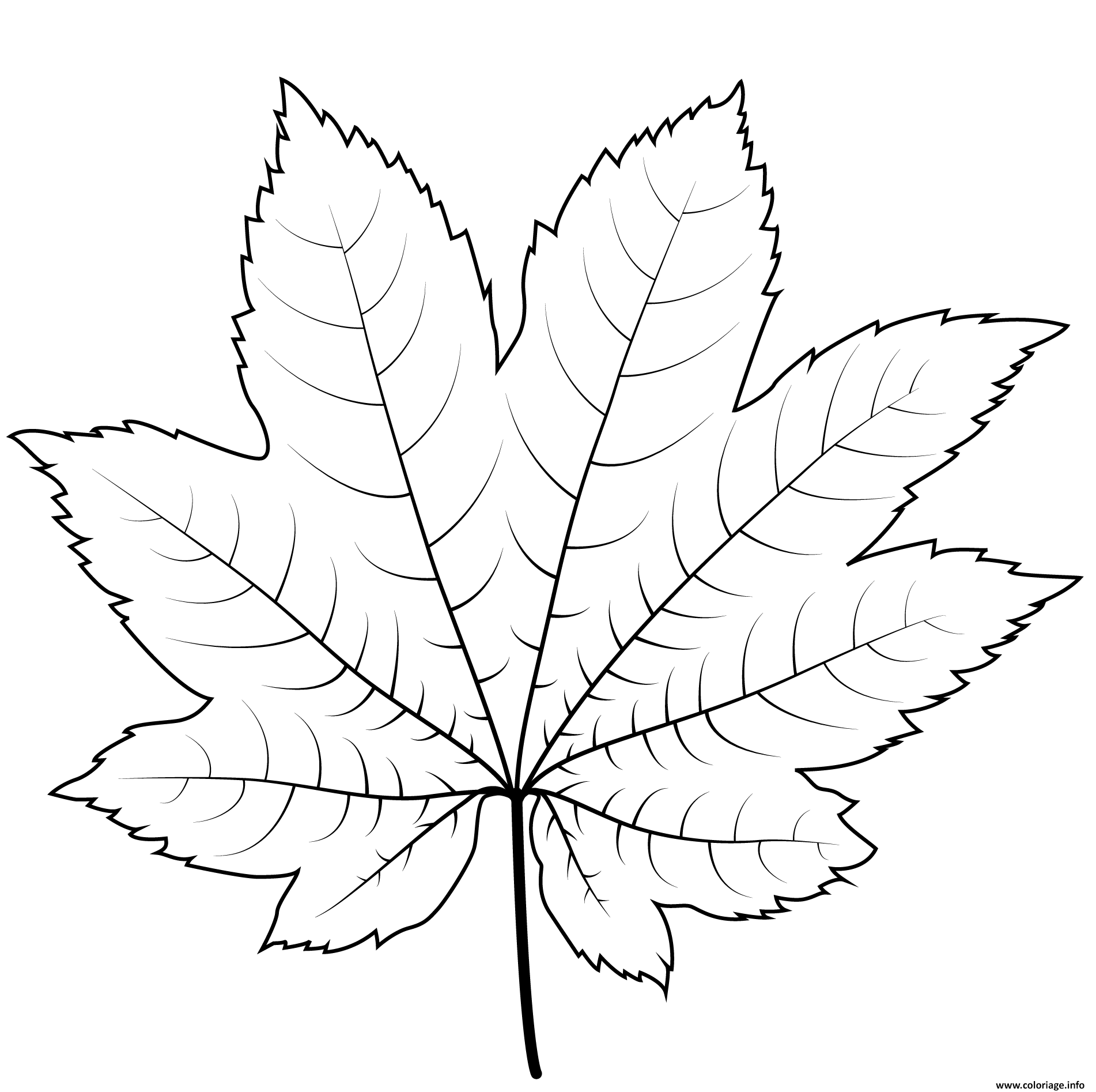 Coloriage feuille erable de vigne - JeColorie.com