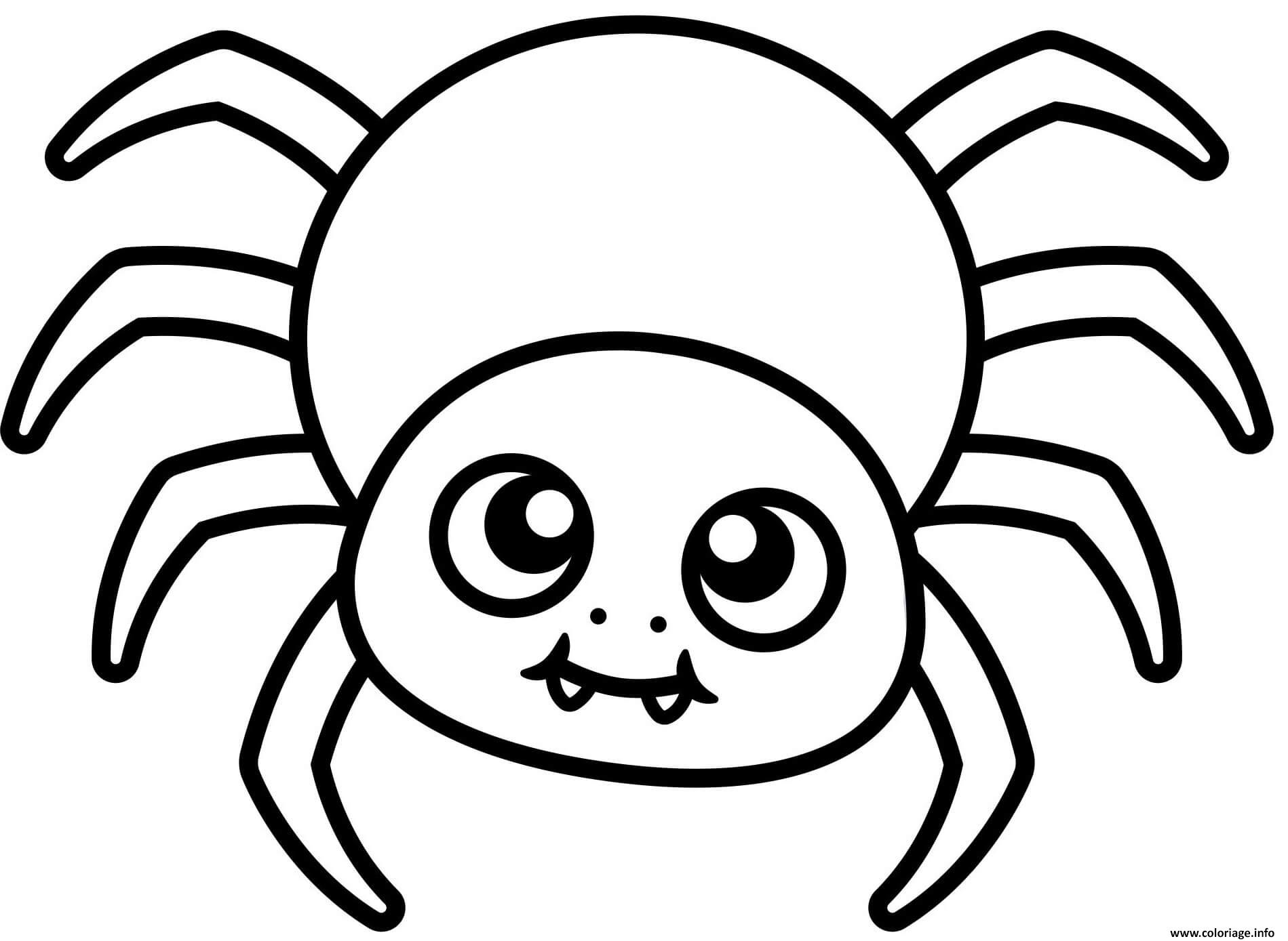 Dessin mignon araignee facile kid Coloriage Gratuit à Imprimer