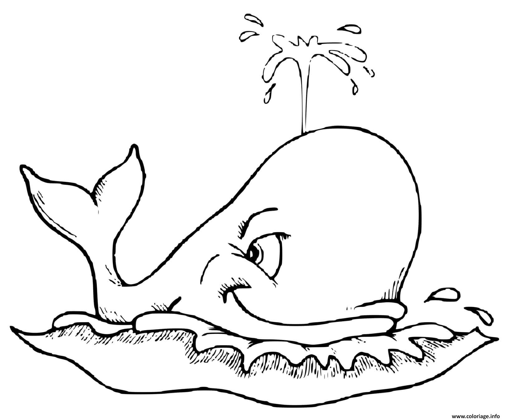 Детская раскраска кит